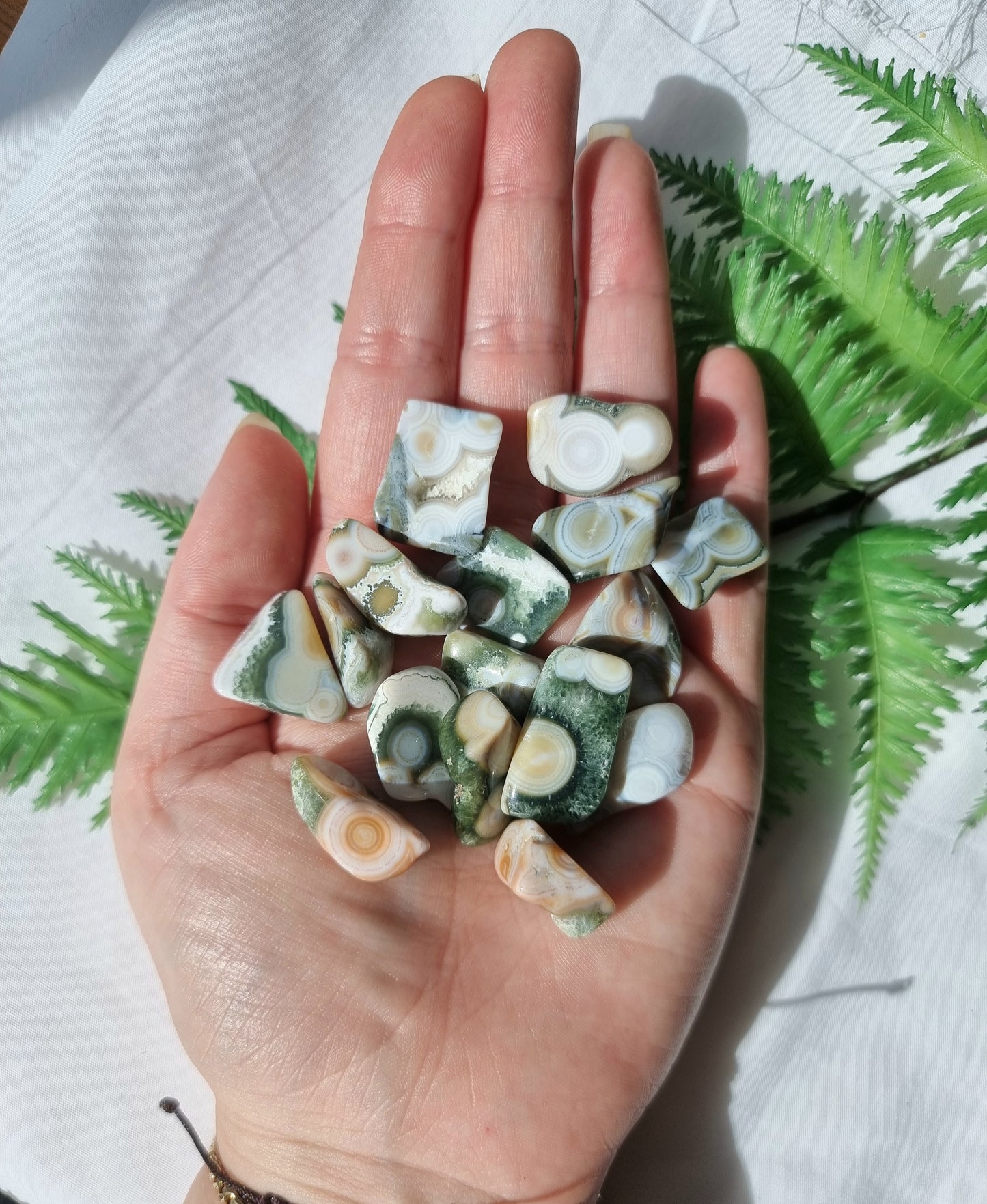 8th Vain Ocean Japser Tumbles