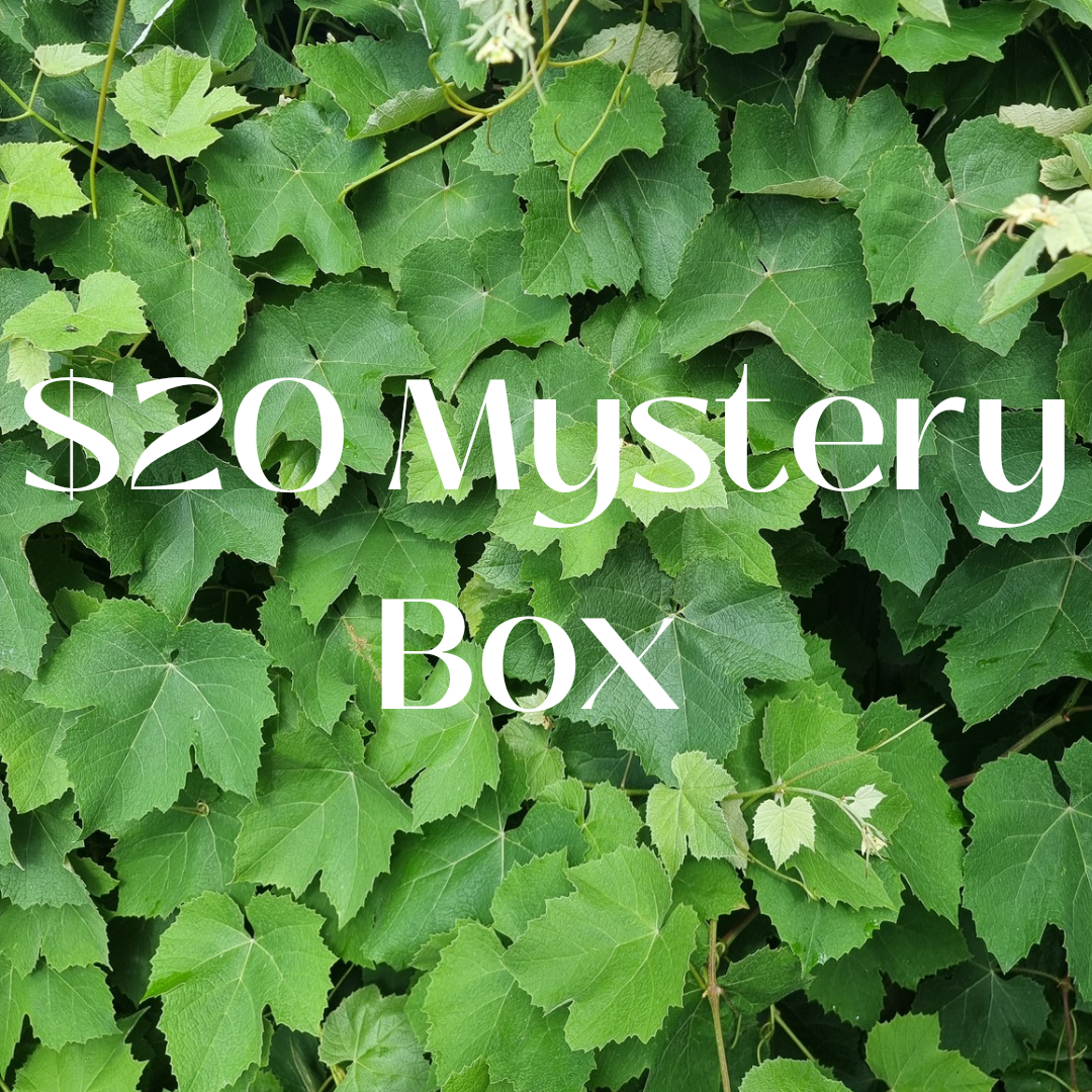 $20 Crystal Mystery Box
