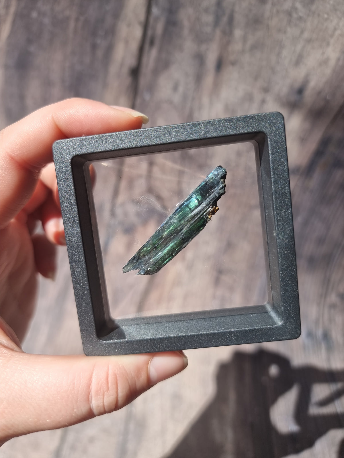 Corpse Crystal (Vivianite) #4