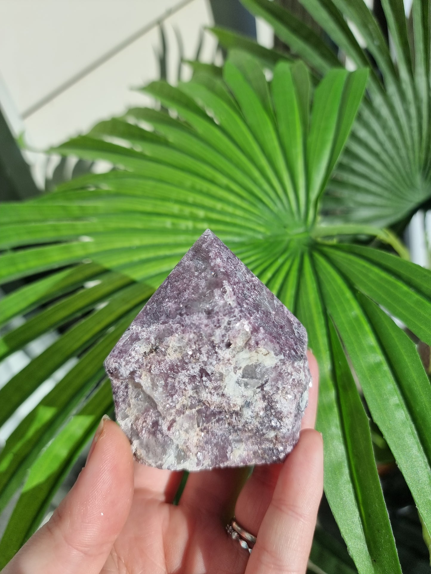 Lepidolite Half Polished Point