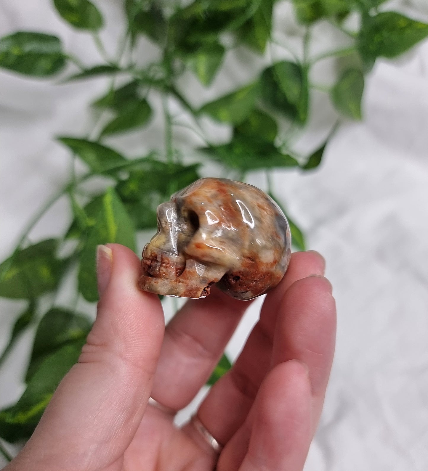 Crazy Lace Agate Small Skull #2