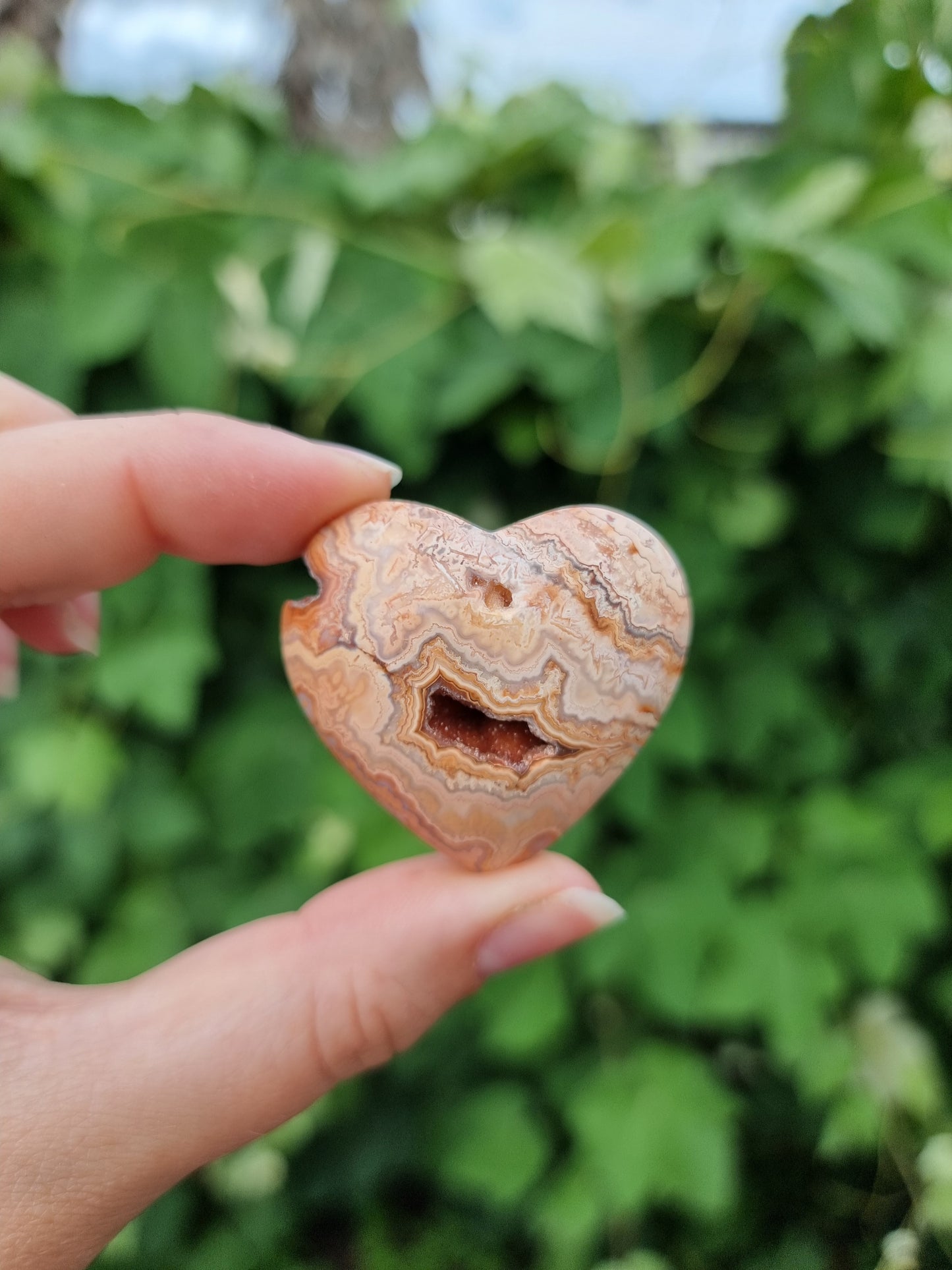 Pink Crazy Lace Heart #3