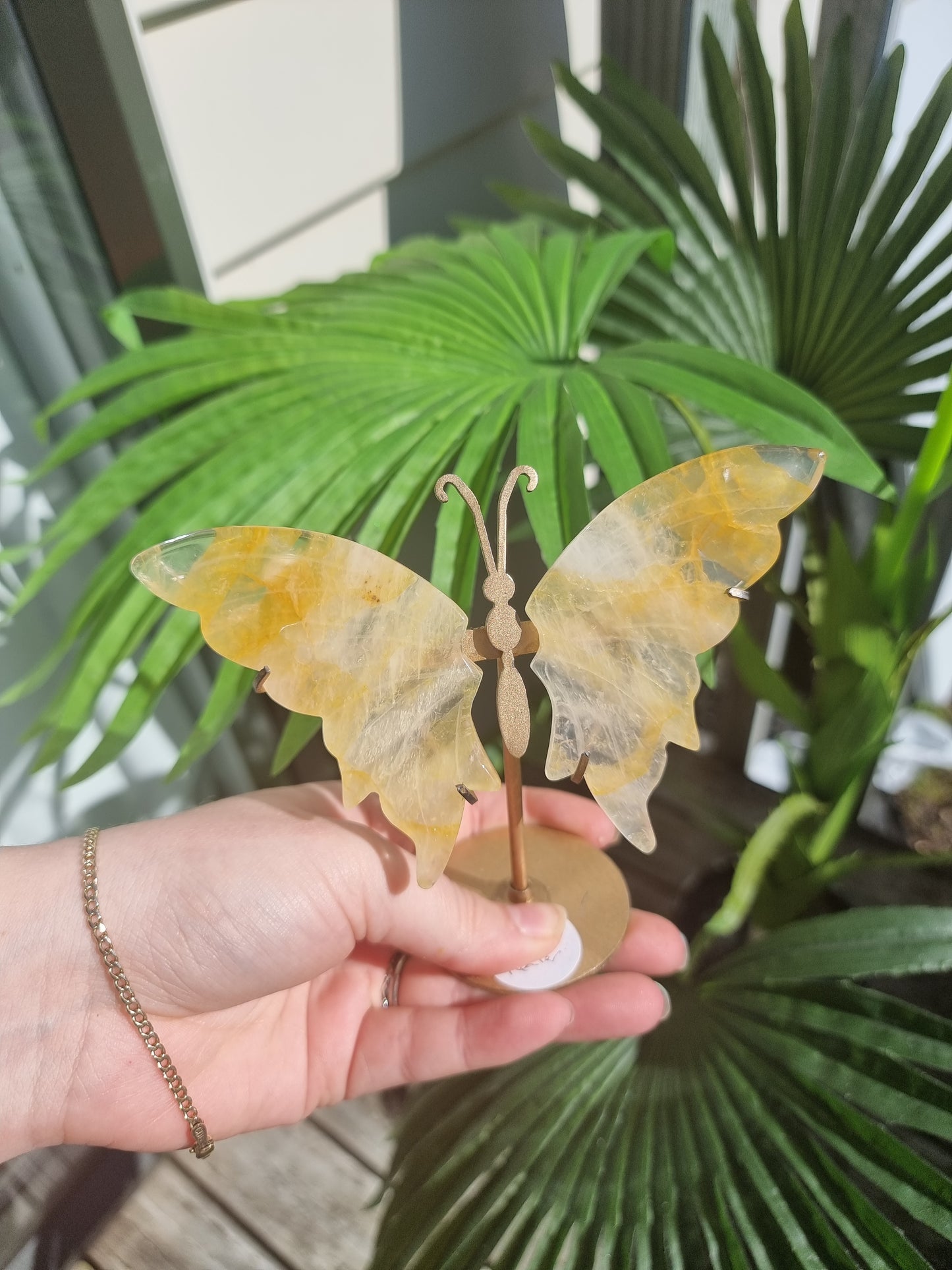 Golden Healer Butterfly Wings on Stand