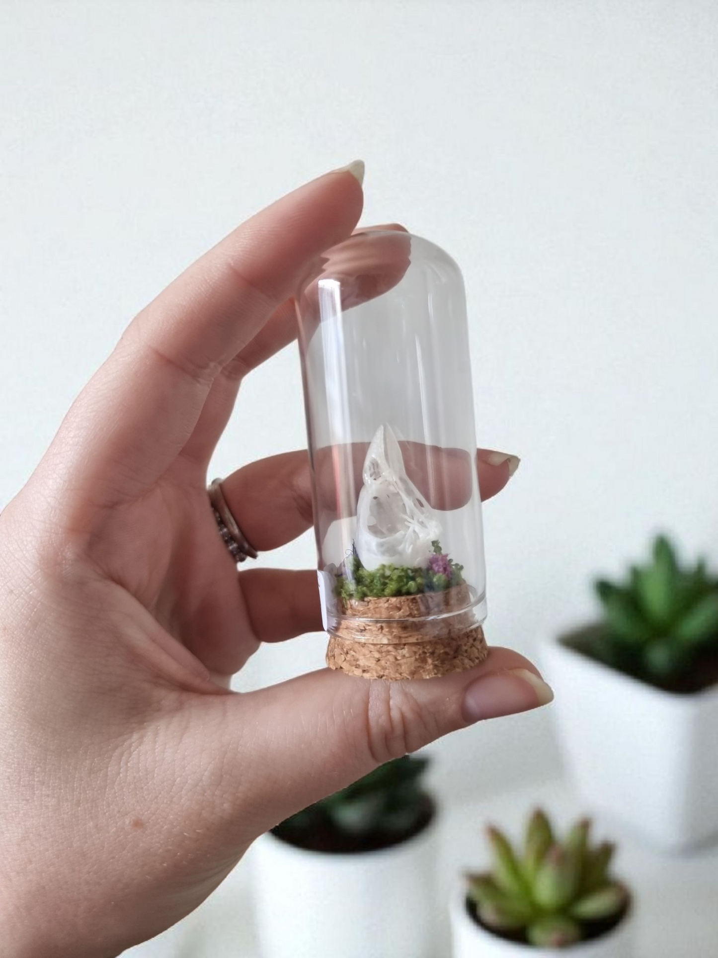 Bird Skull dome #4