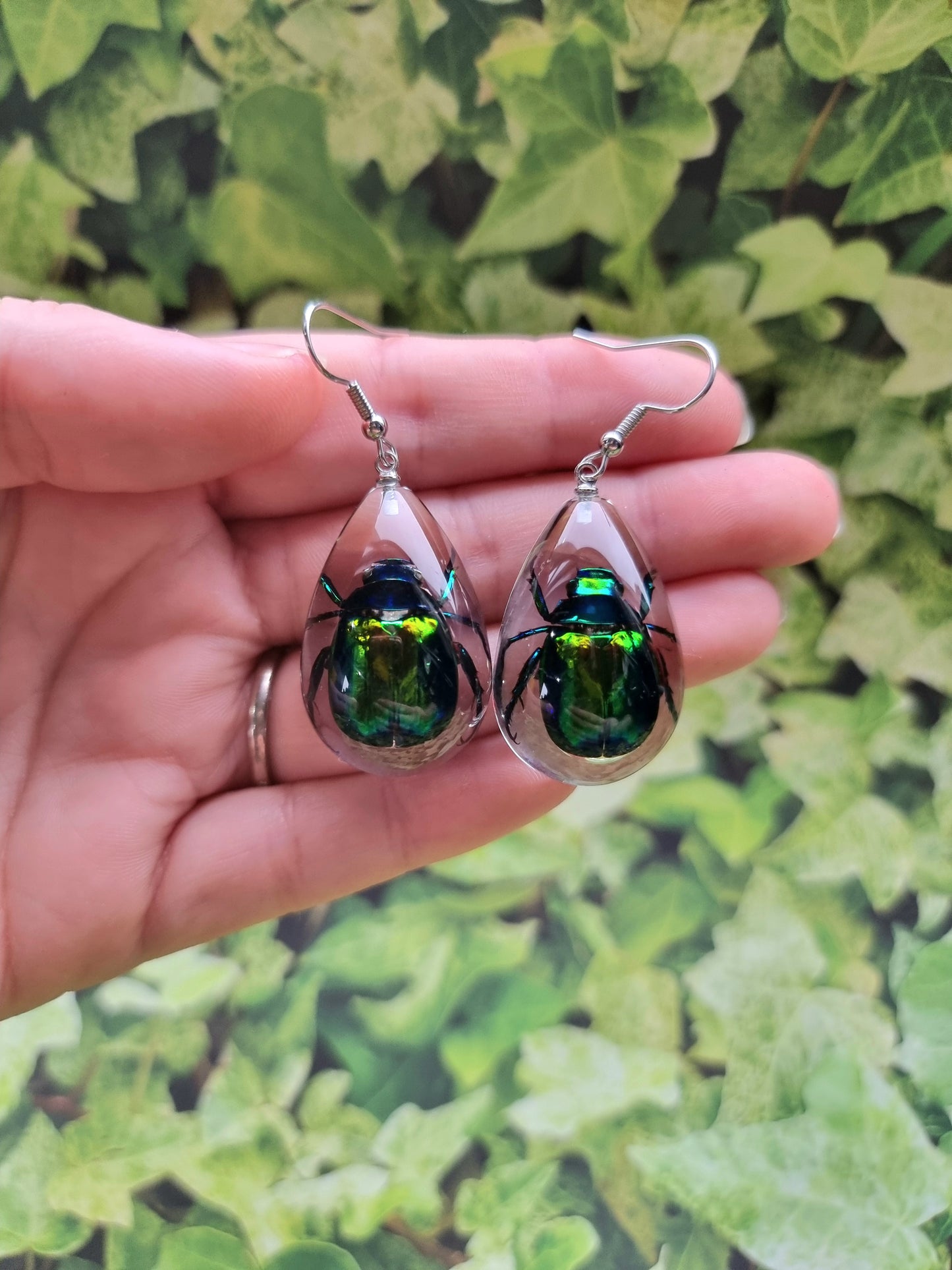 Chafer Beetle Resin Earings