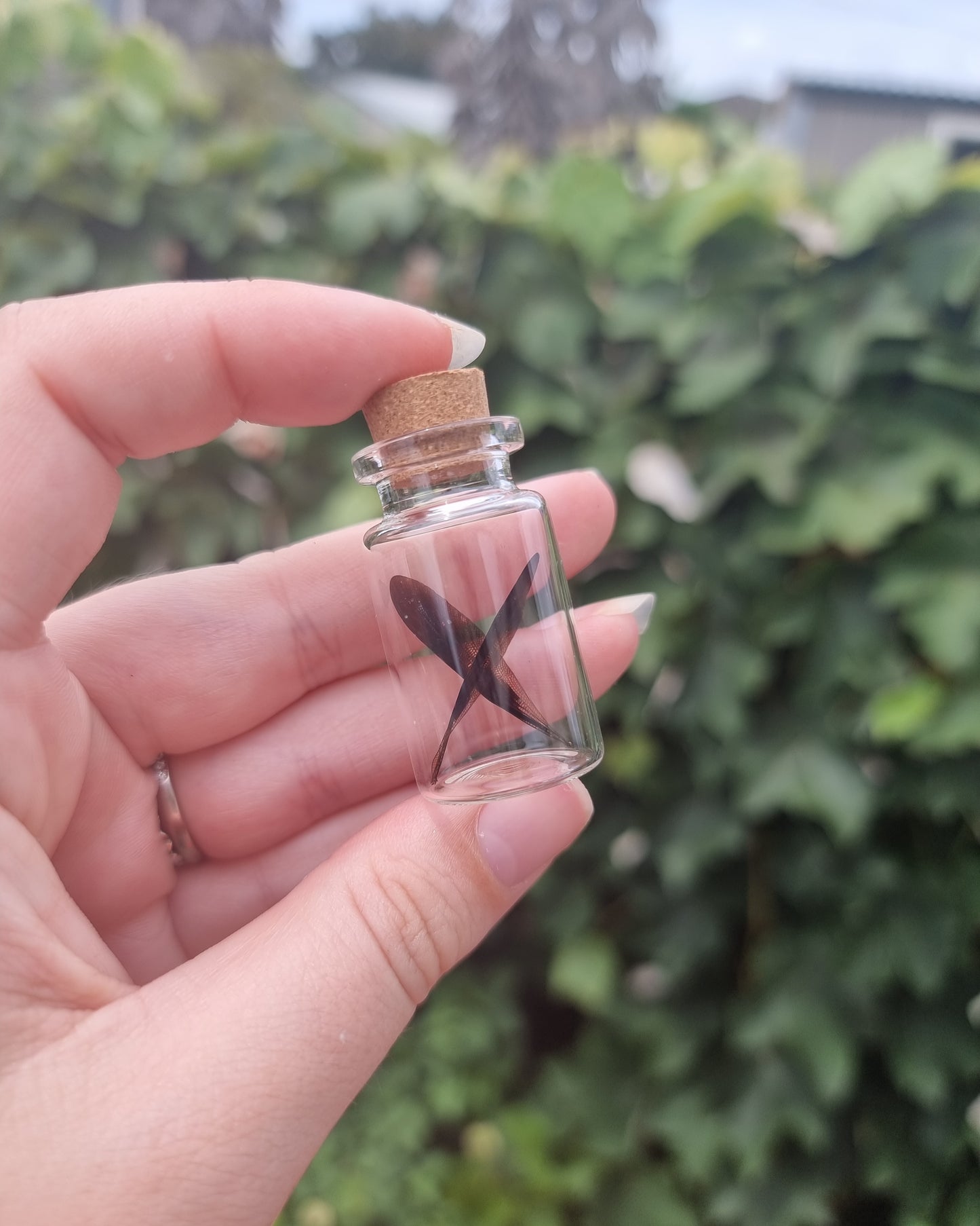 Double Damselfly Wing Jar Small