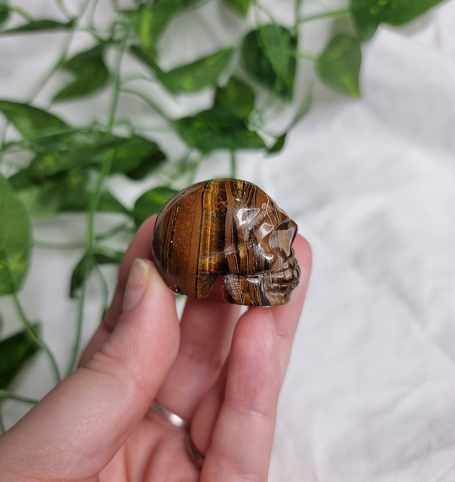 Tiger Eye Small Skull