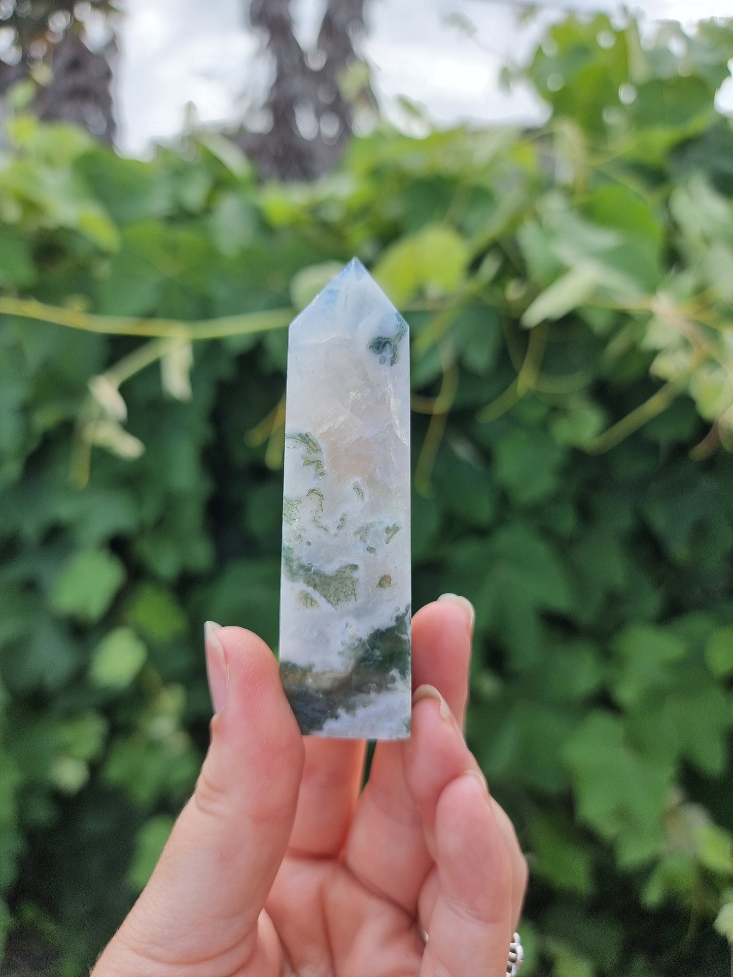 Tree Agate Point #2