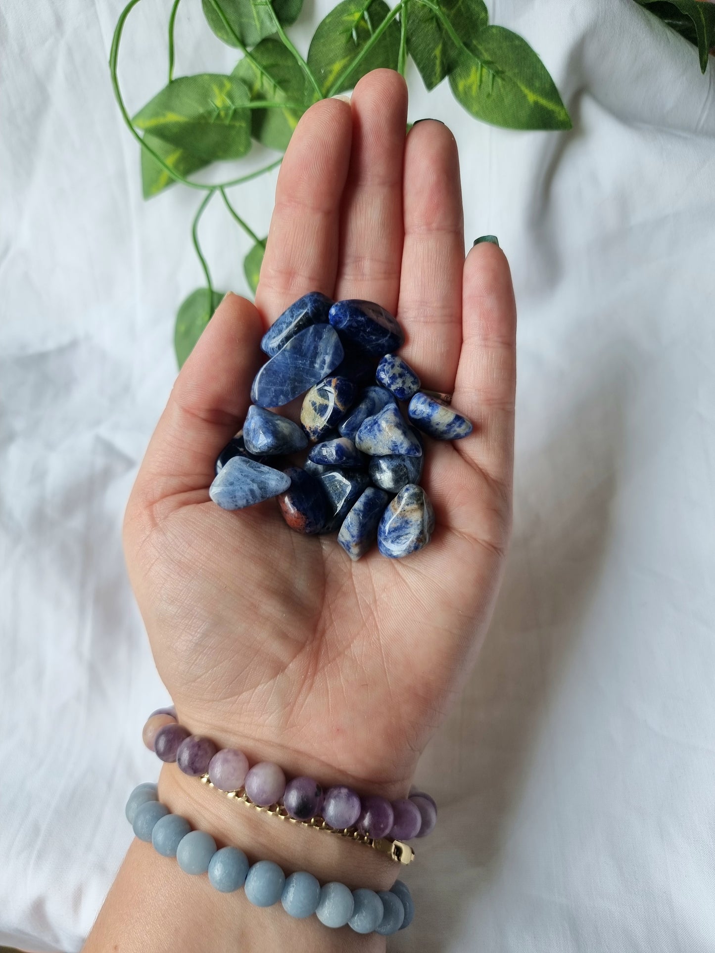 Small Sodalite Tumbles