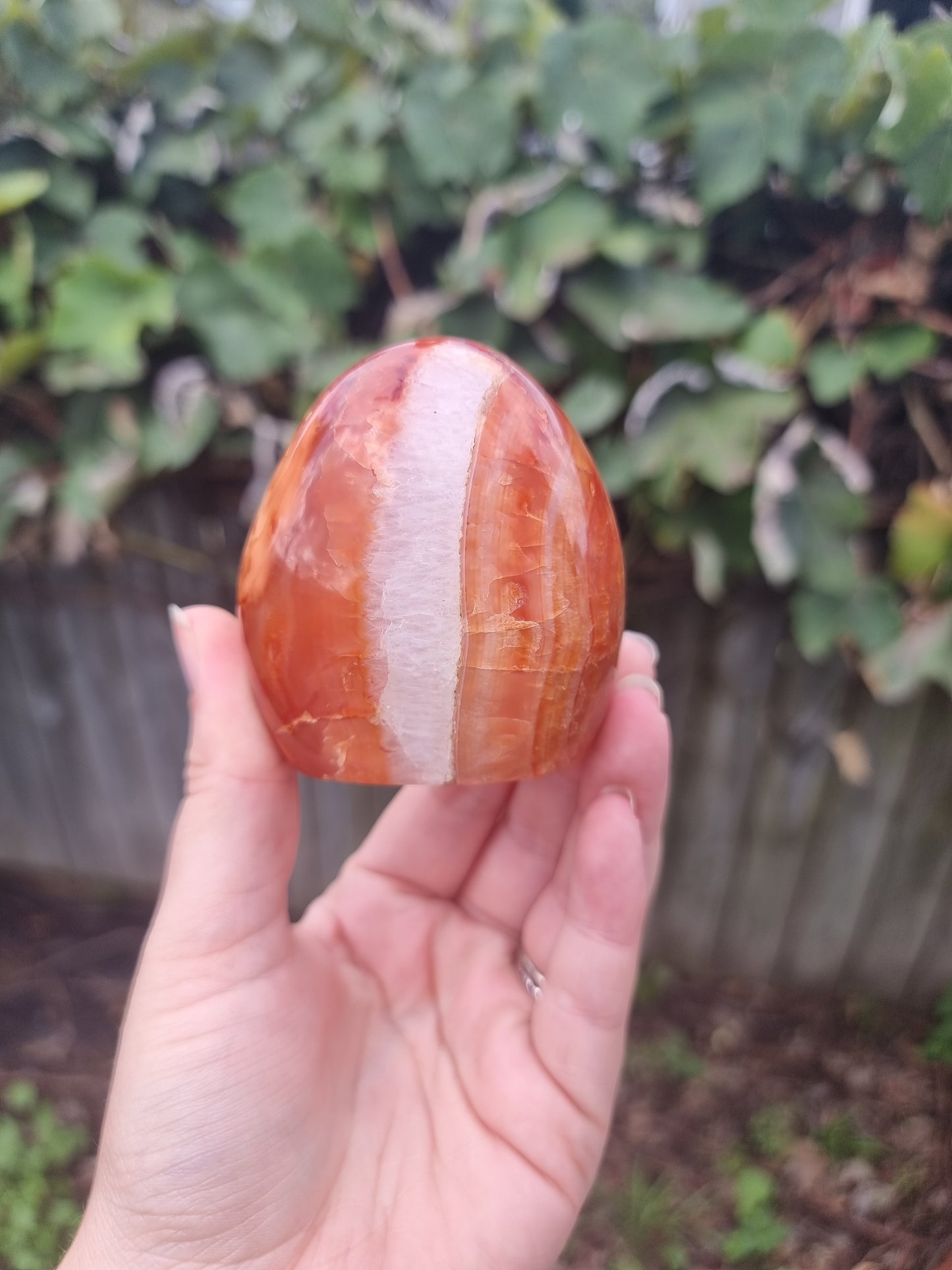 Carnelian Free Form #1