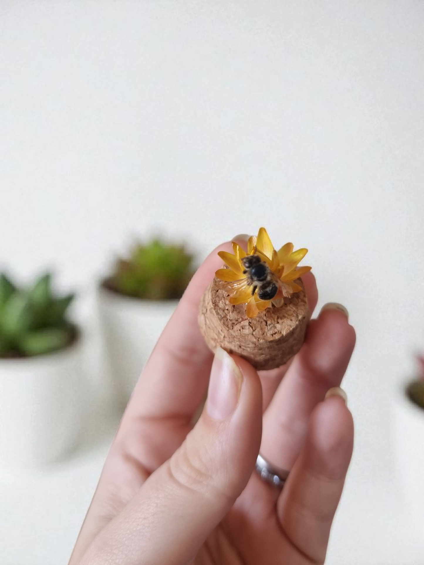 Mini Bee Dome #3