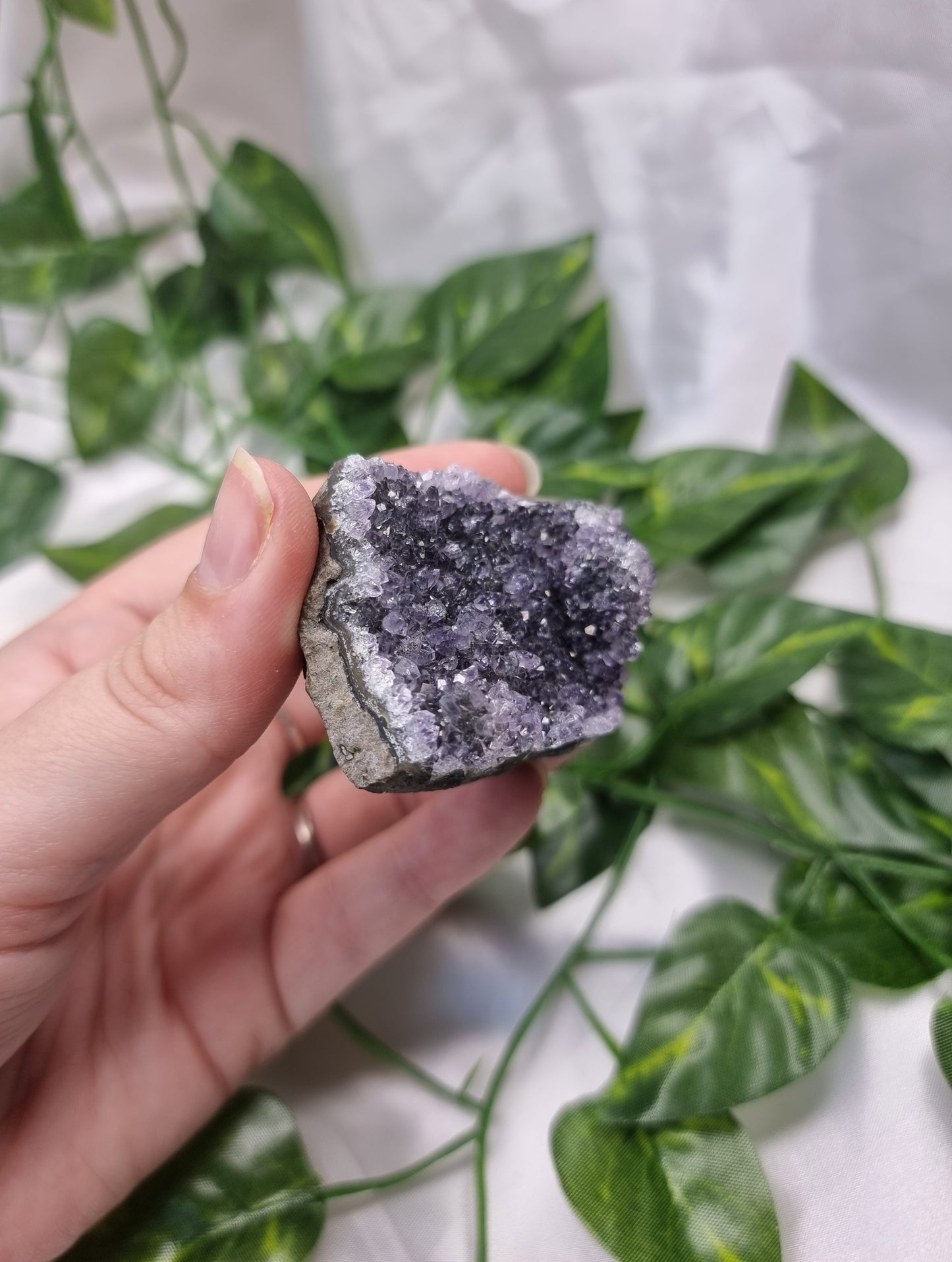Amethyst Cluster