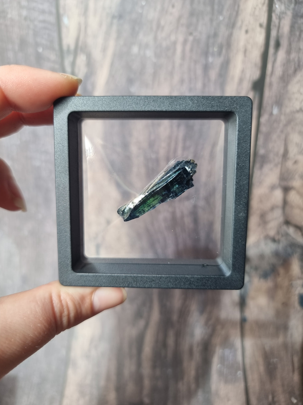 Corpse Crystal (Vivianite) #8.1