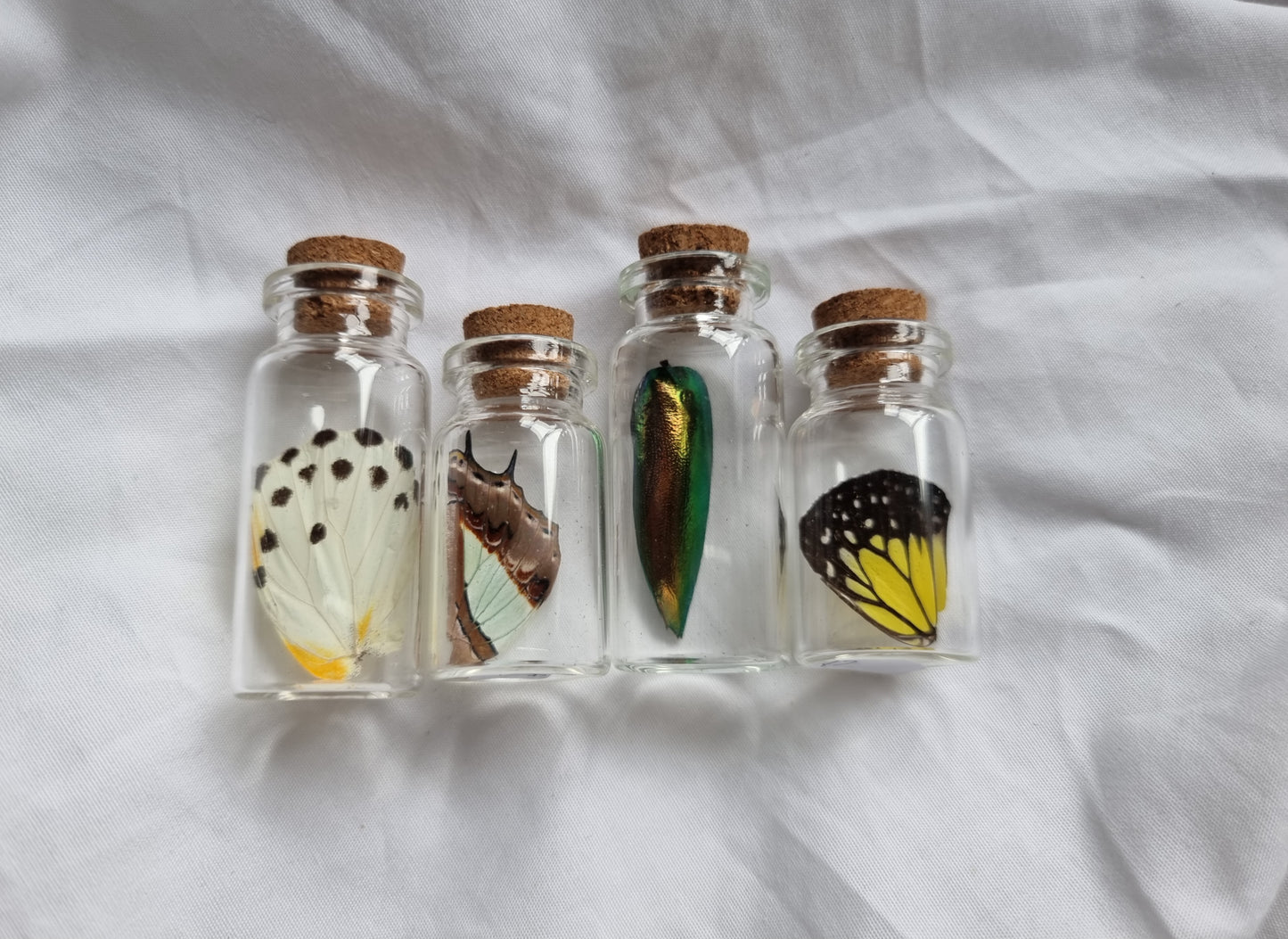 Small Oddity Mystery box