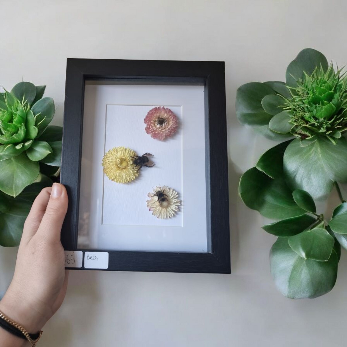 Framed Bees