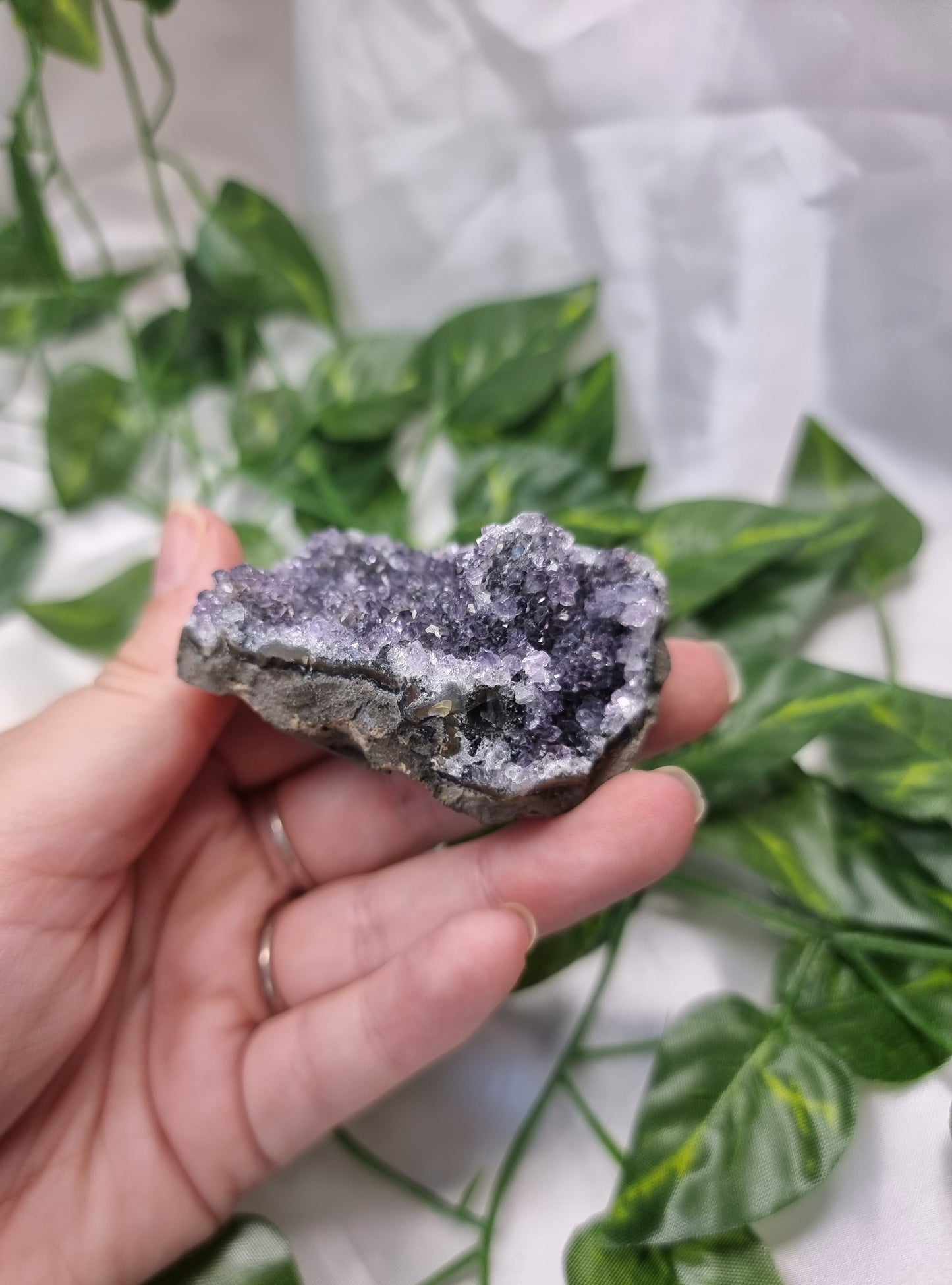 Amethyst Cluster
