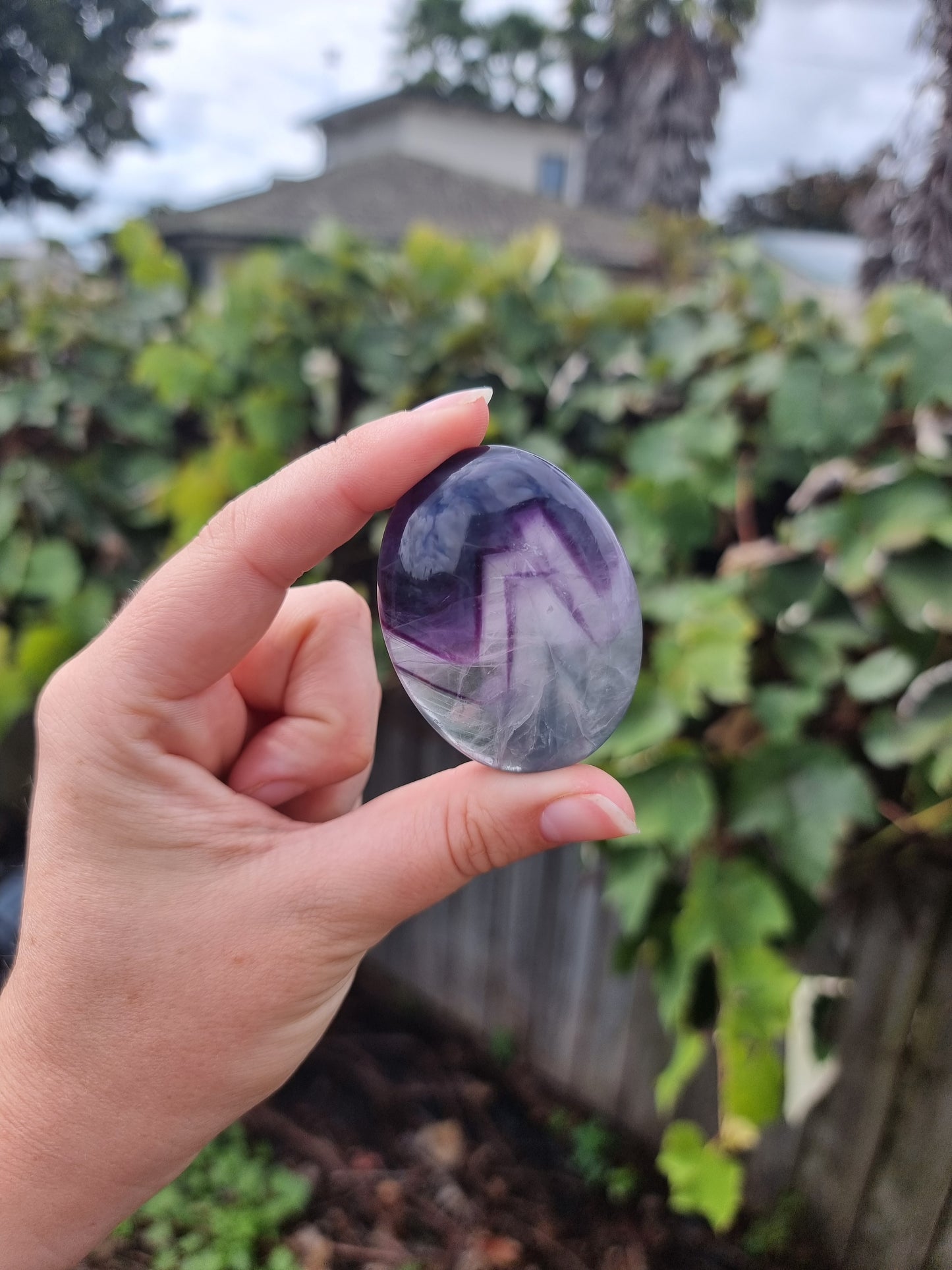Fluorite Palmstone #5