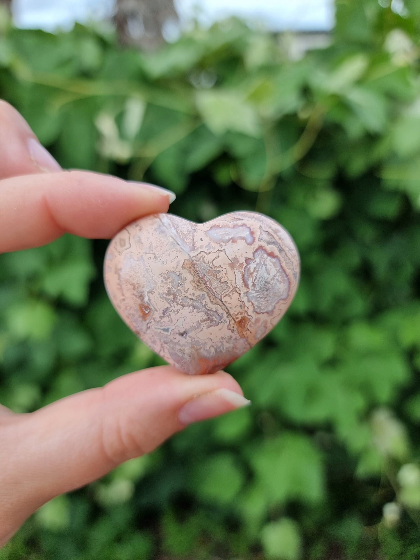 Pink Crazy Lace Heart #1