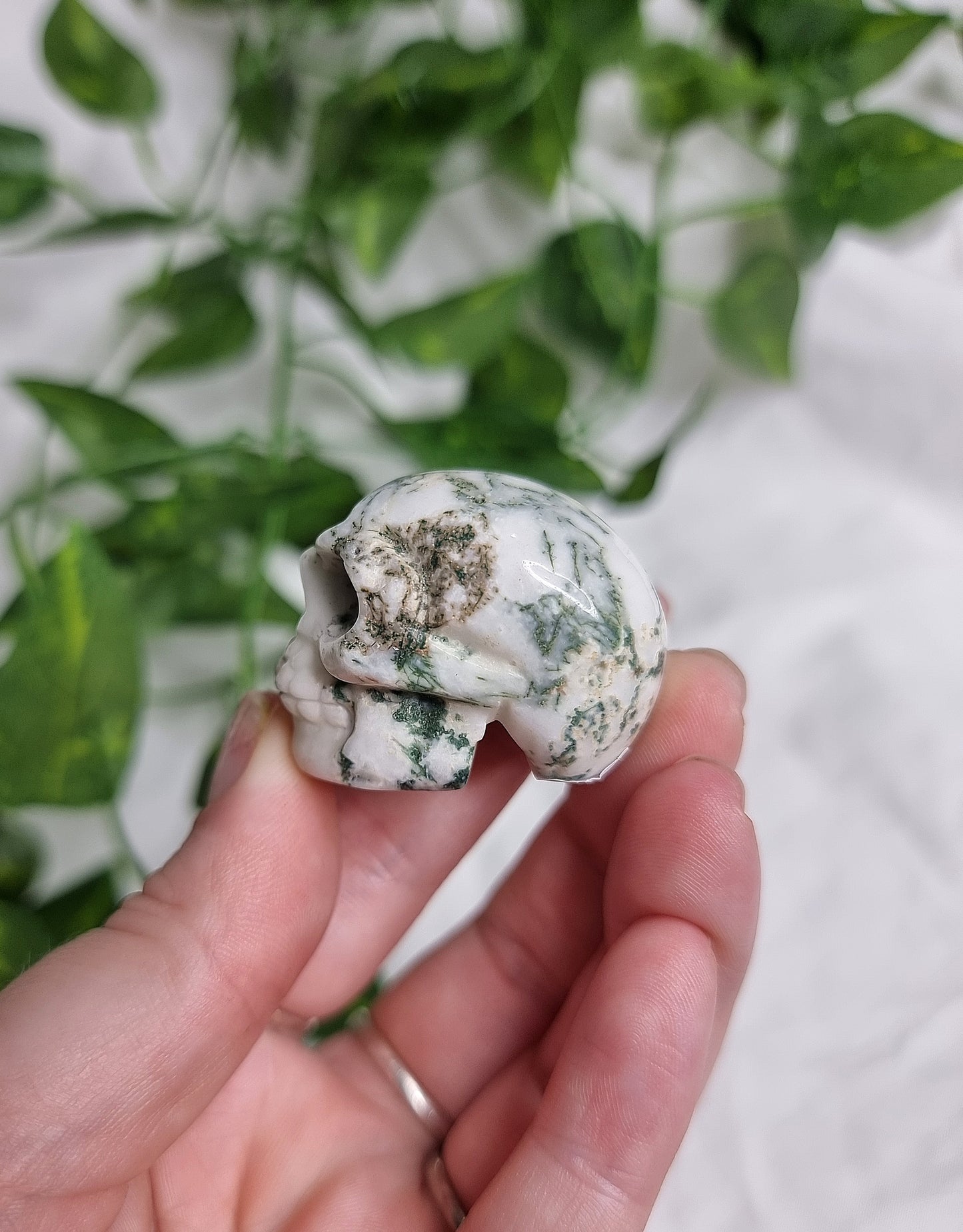 Tree Agate Small Skull #1
