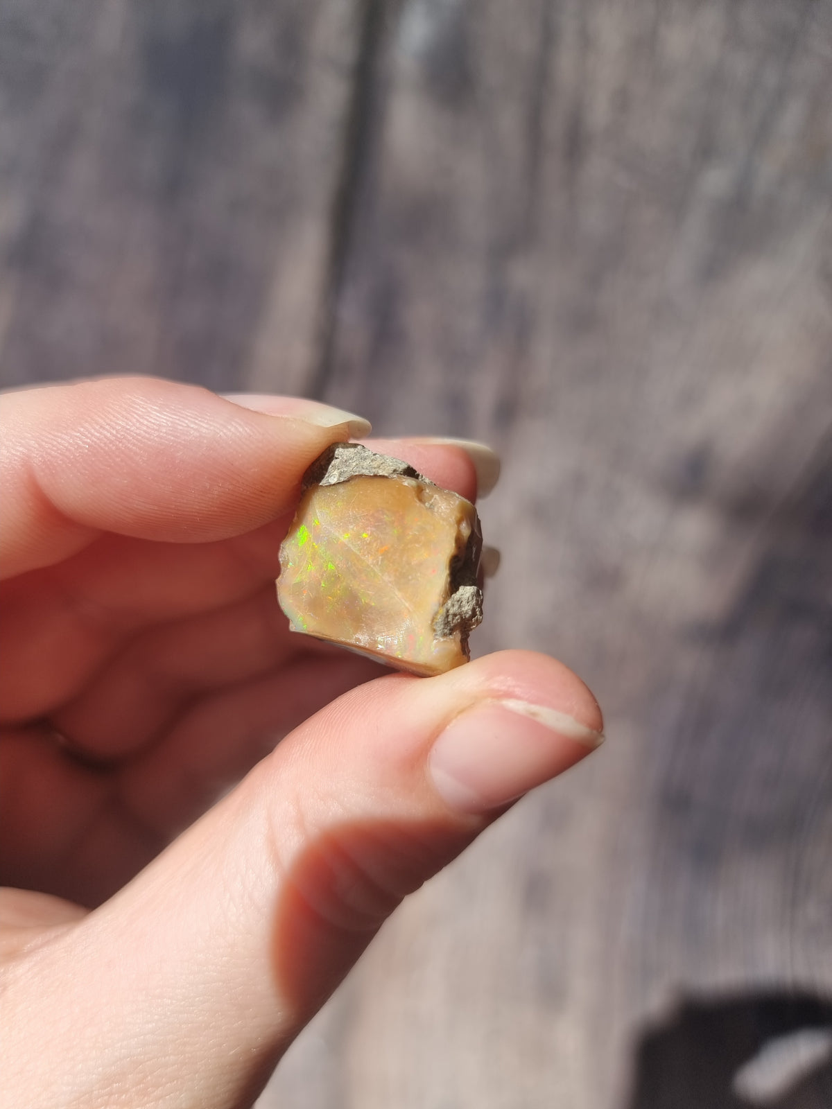 Ethiopian Opal #1
