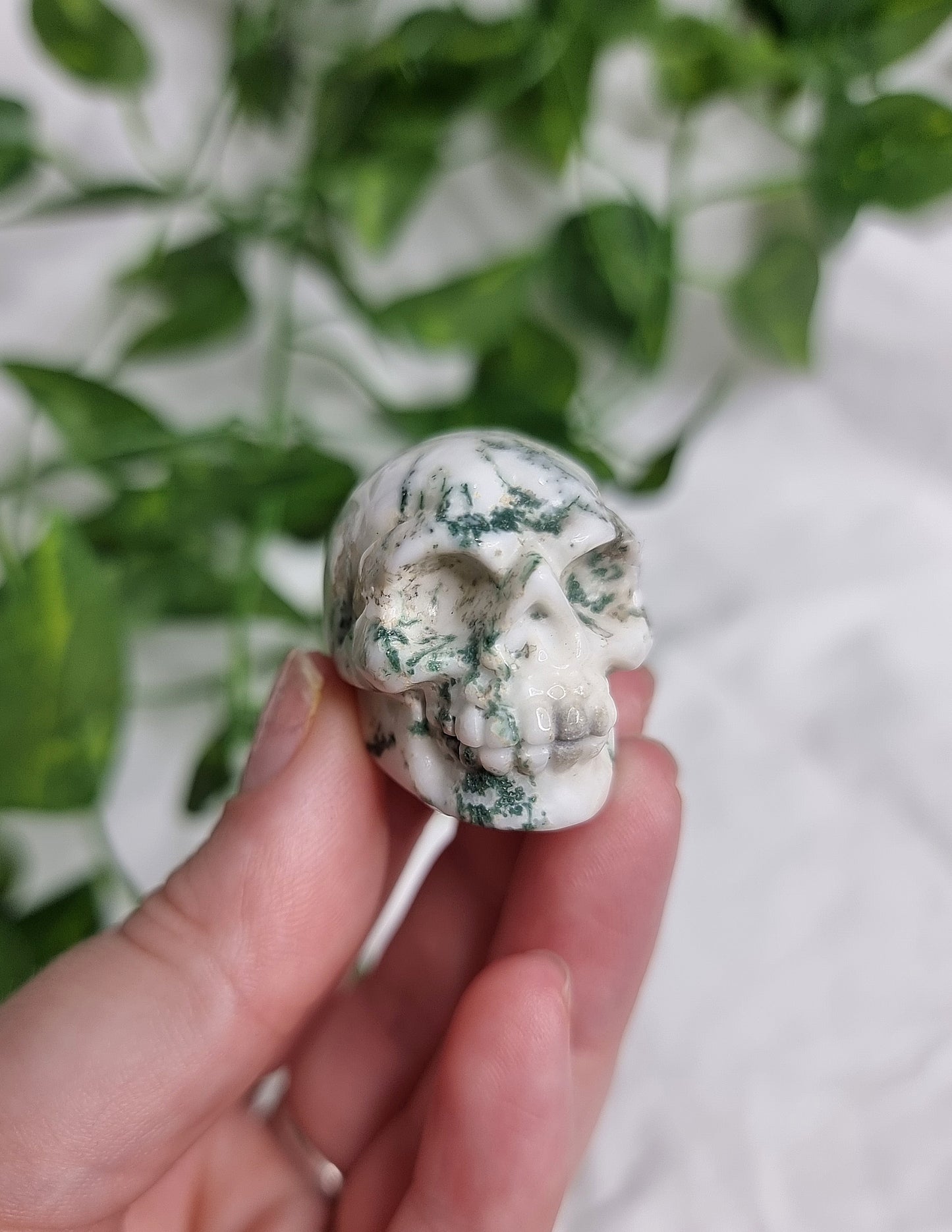 Tree Agate Small Skull #1