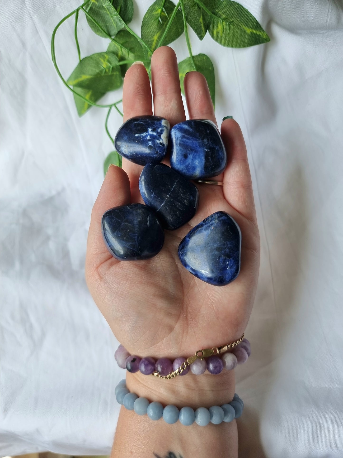 High Quality Large Sodalite Tumbles