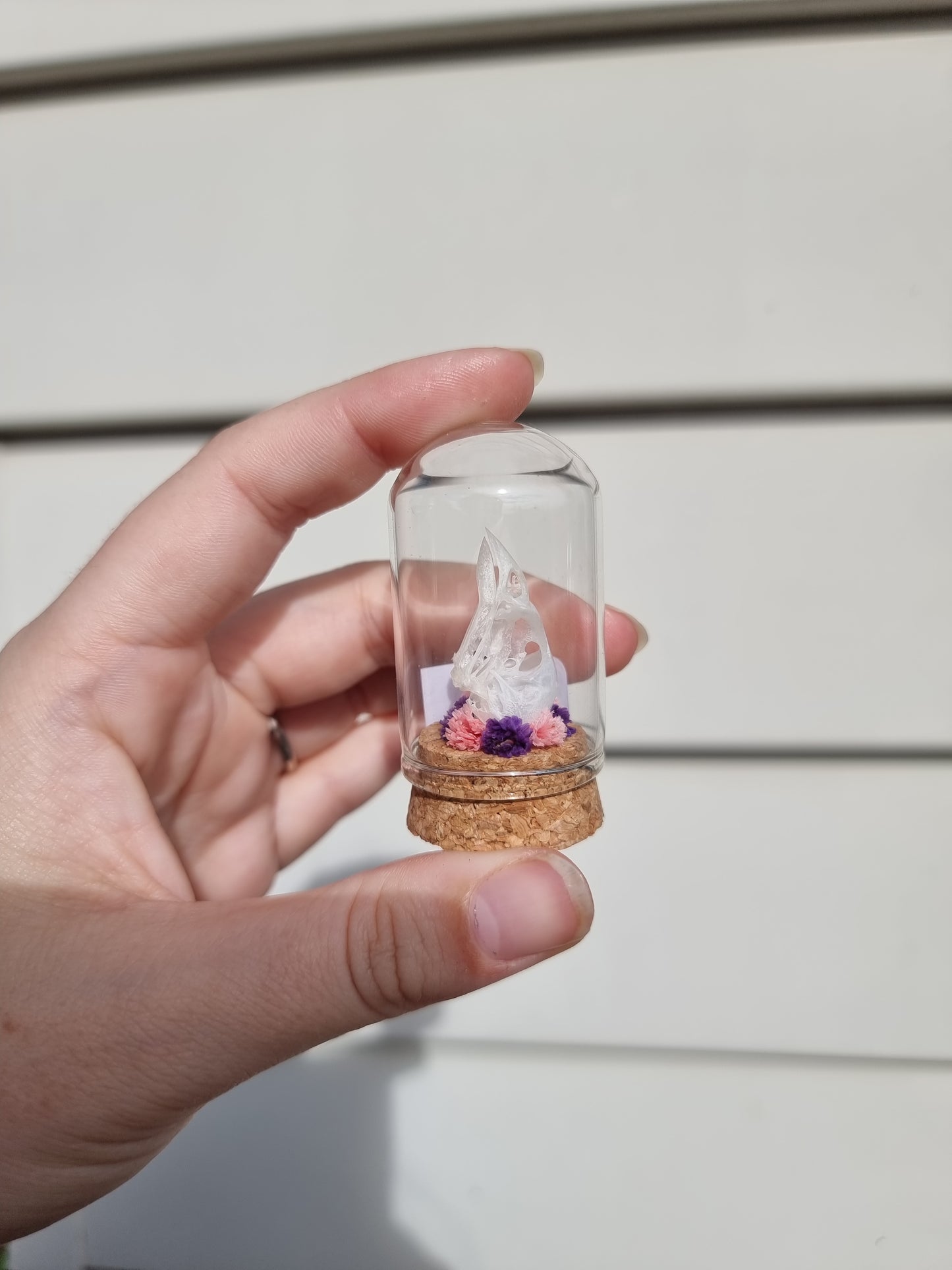 Sparrow Skull mini dome #1