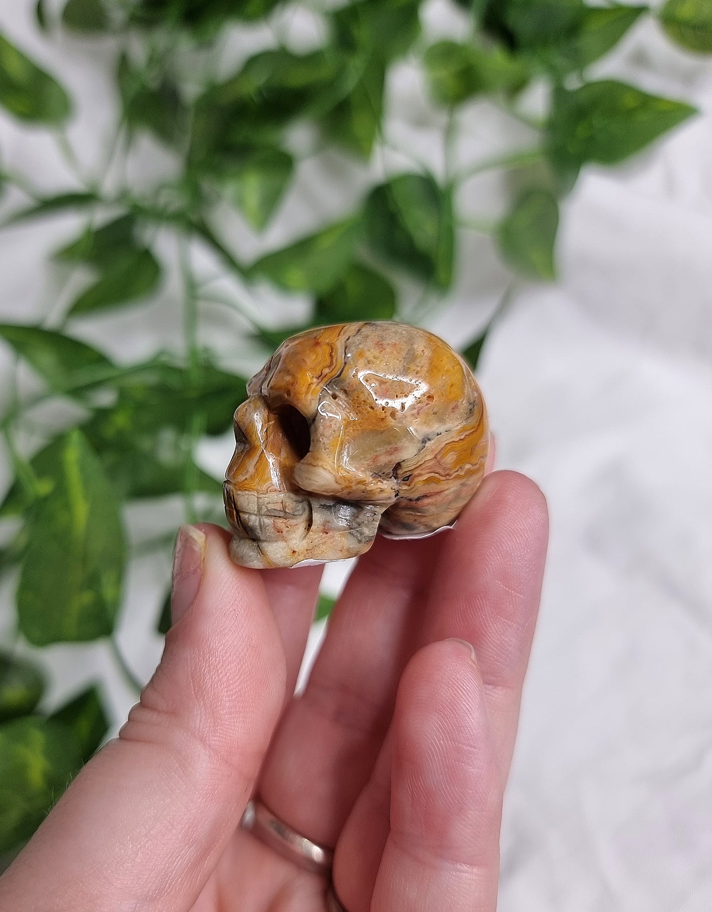 Crazy Lace Agate Small Skull #1