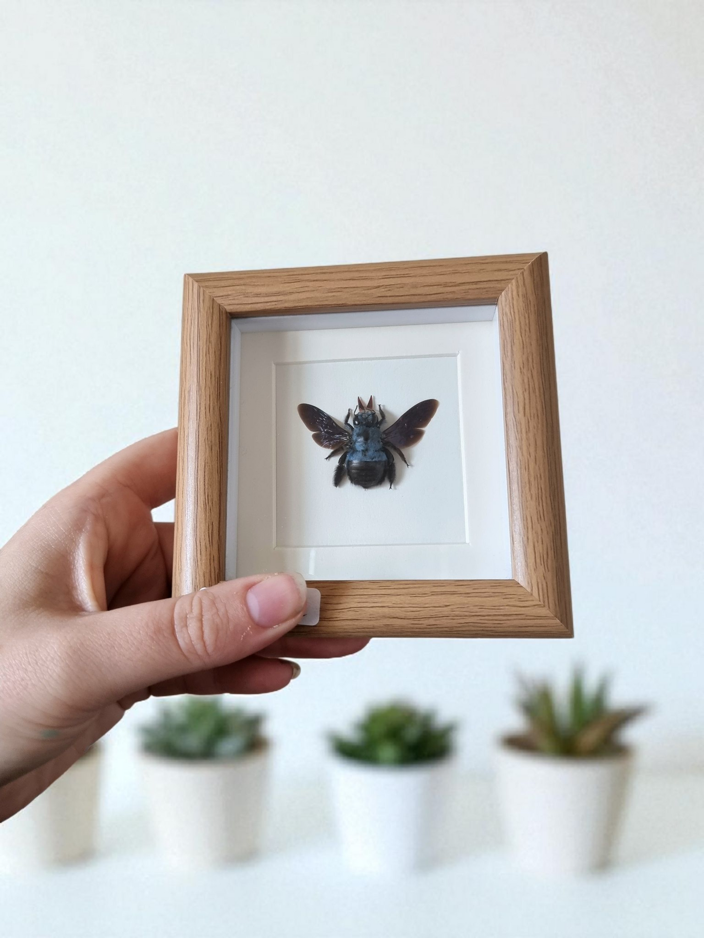 Mini Framed Bee #2
