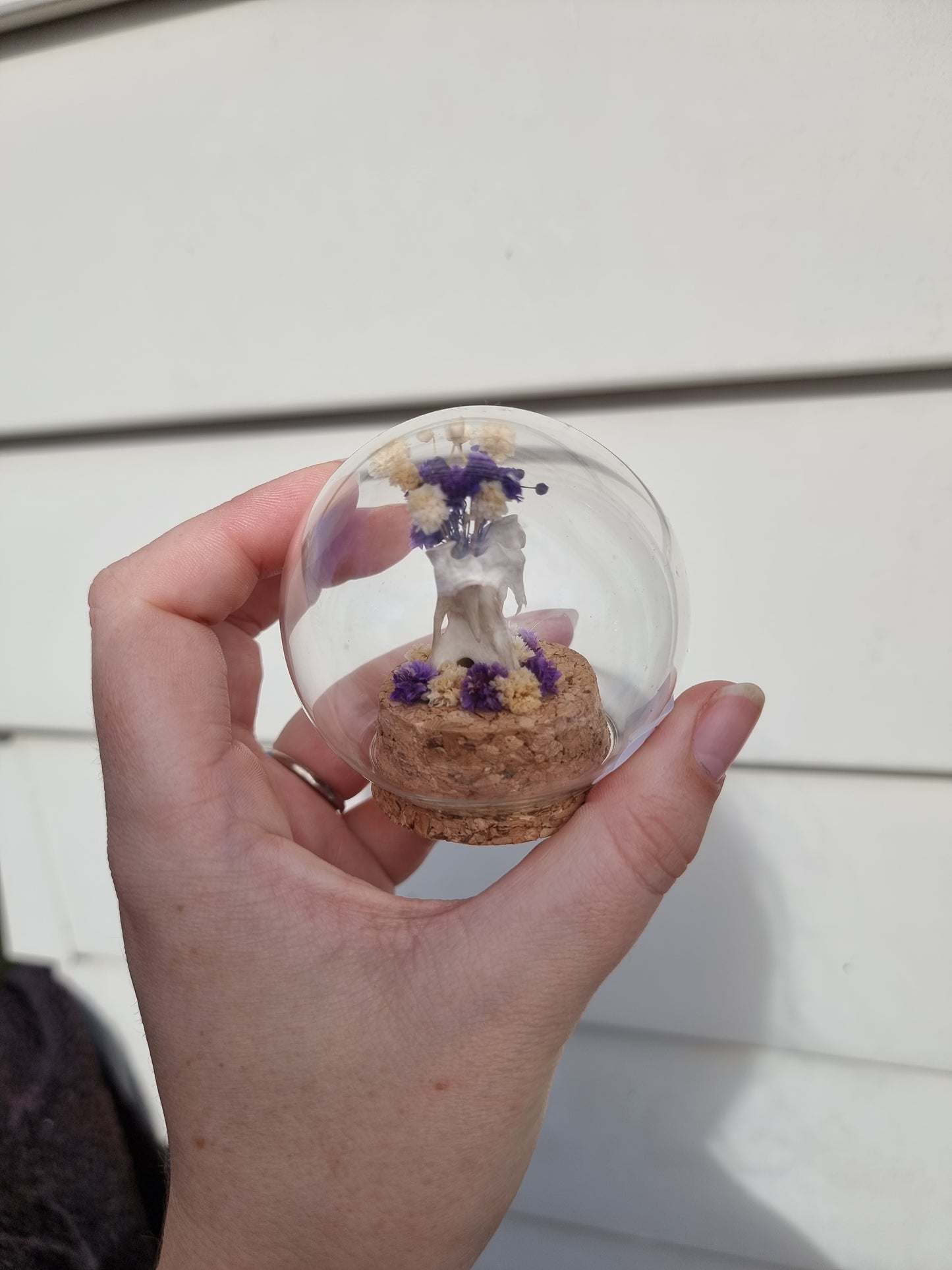 Small Bone Dome