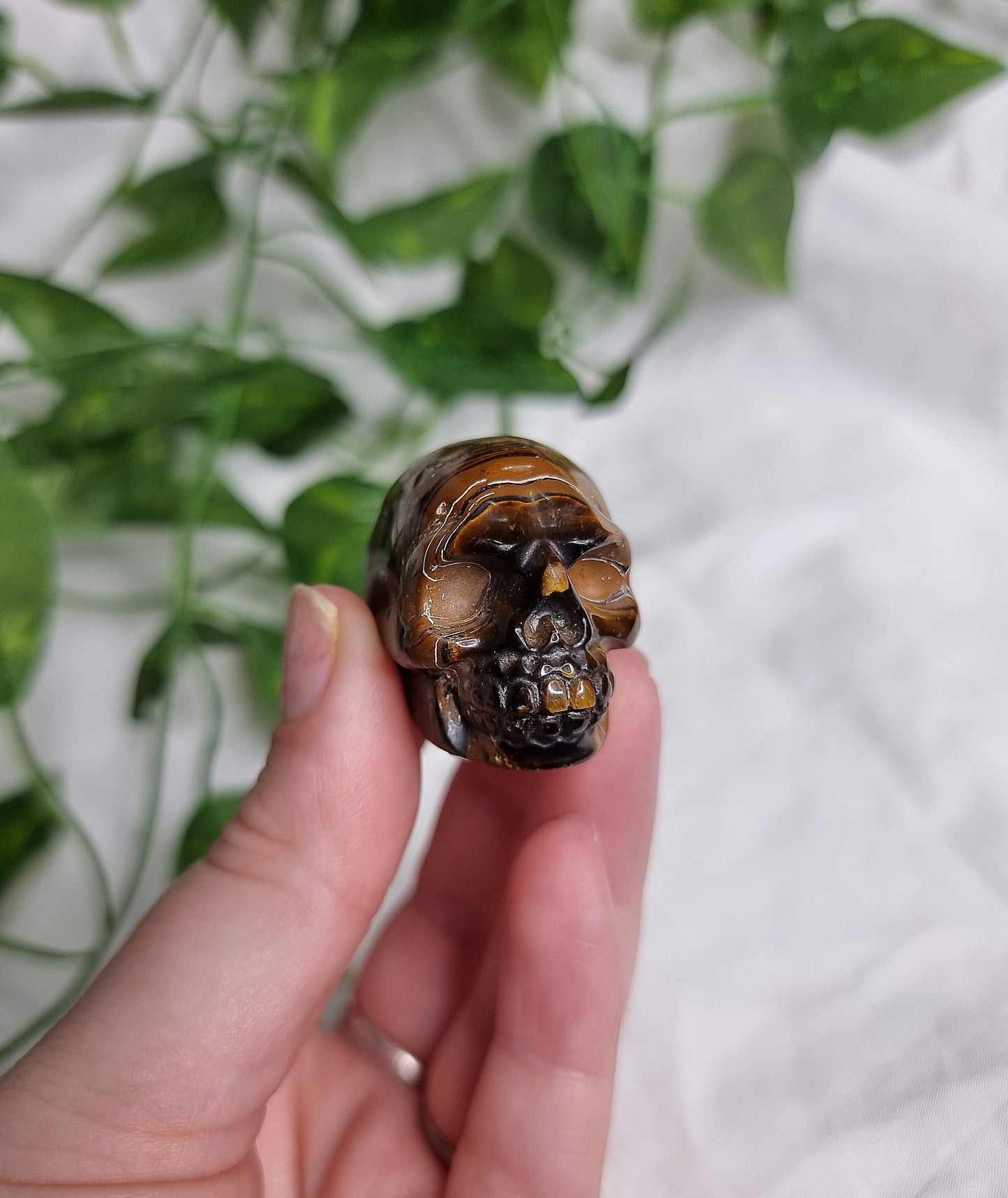 Tiger Eye Small Skull