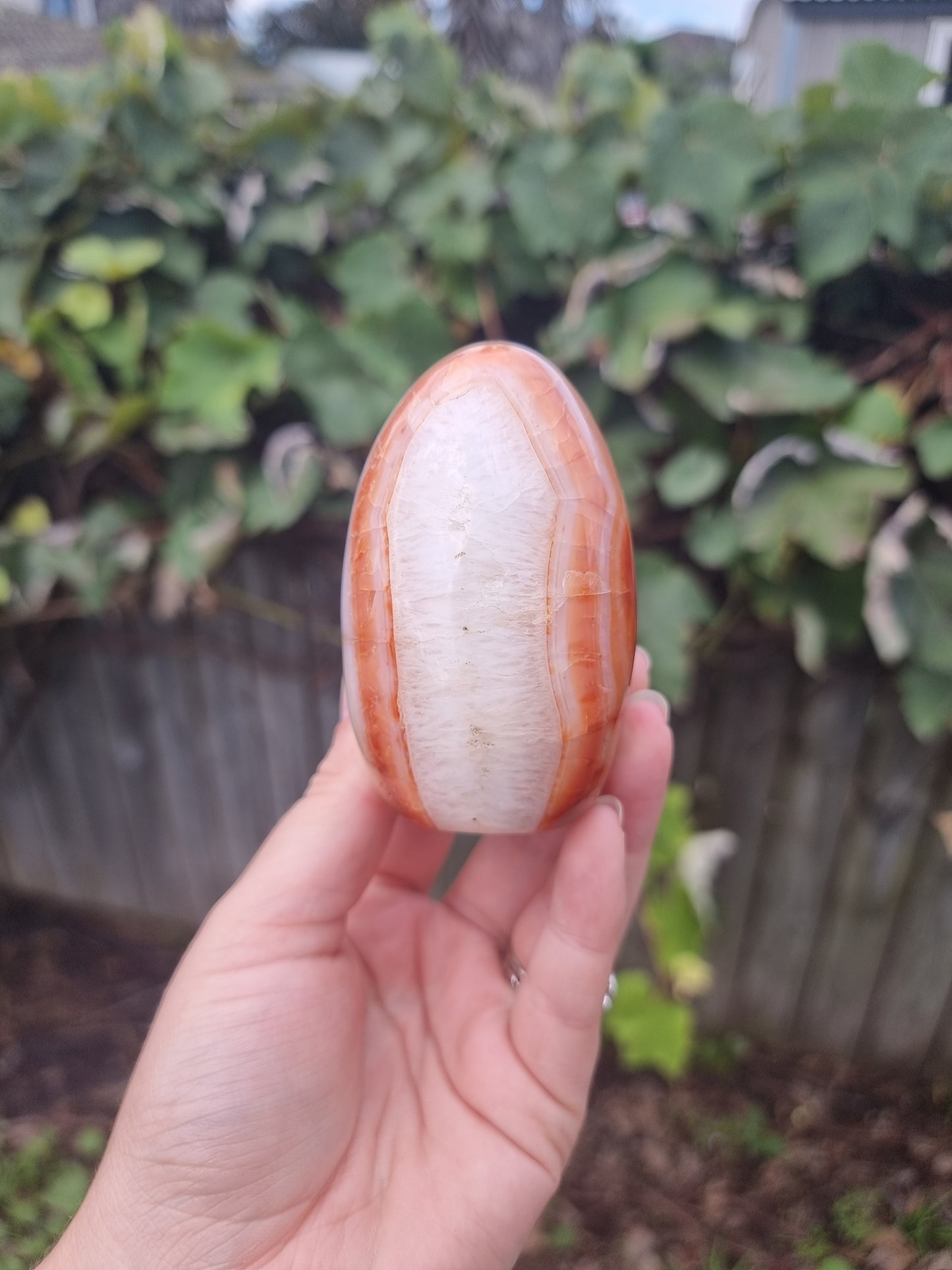 Carnelian Free Form #2