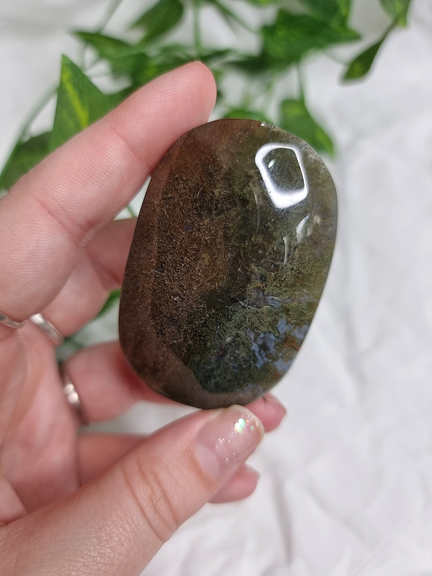 Moss Agate Palm #5