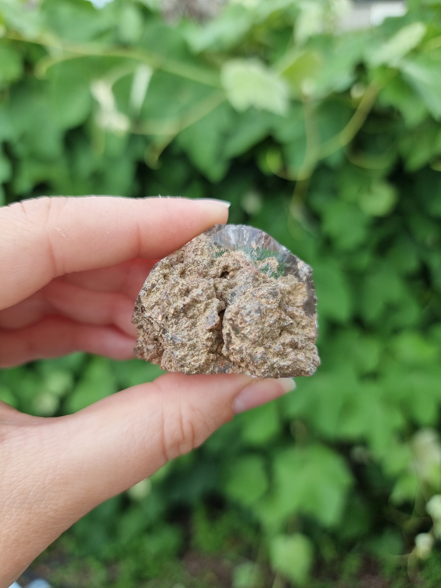 Garden Quartz/ Lodolite free form #2