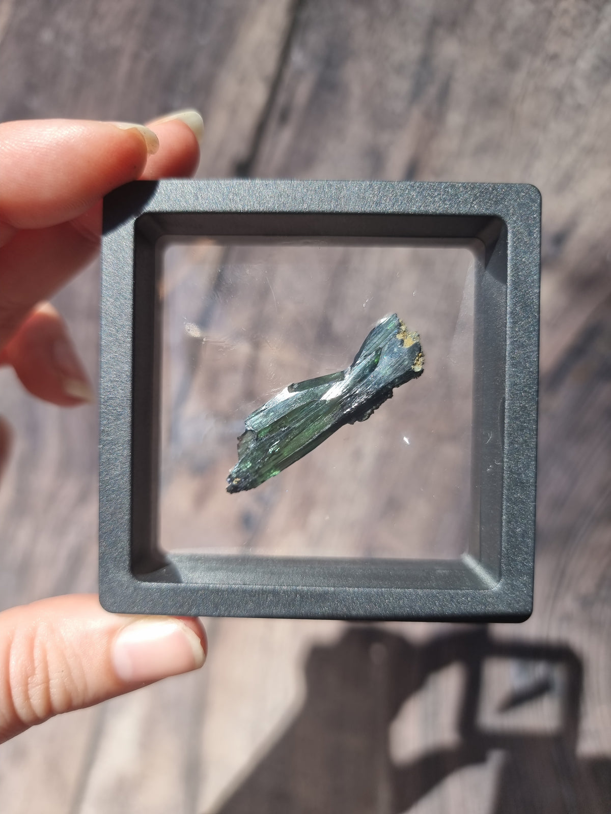 Corpse Crystal (Vivianite) #3