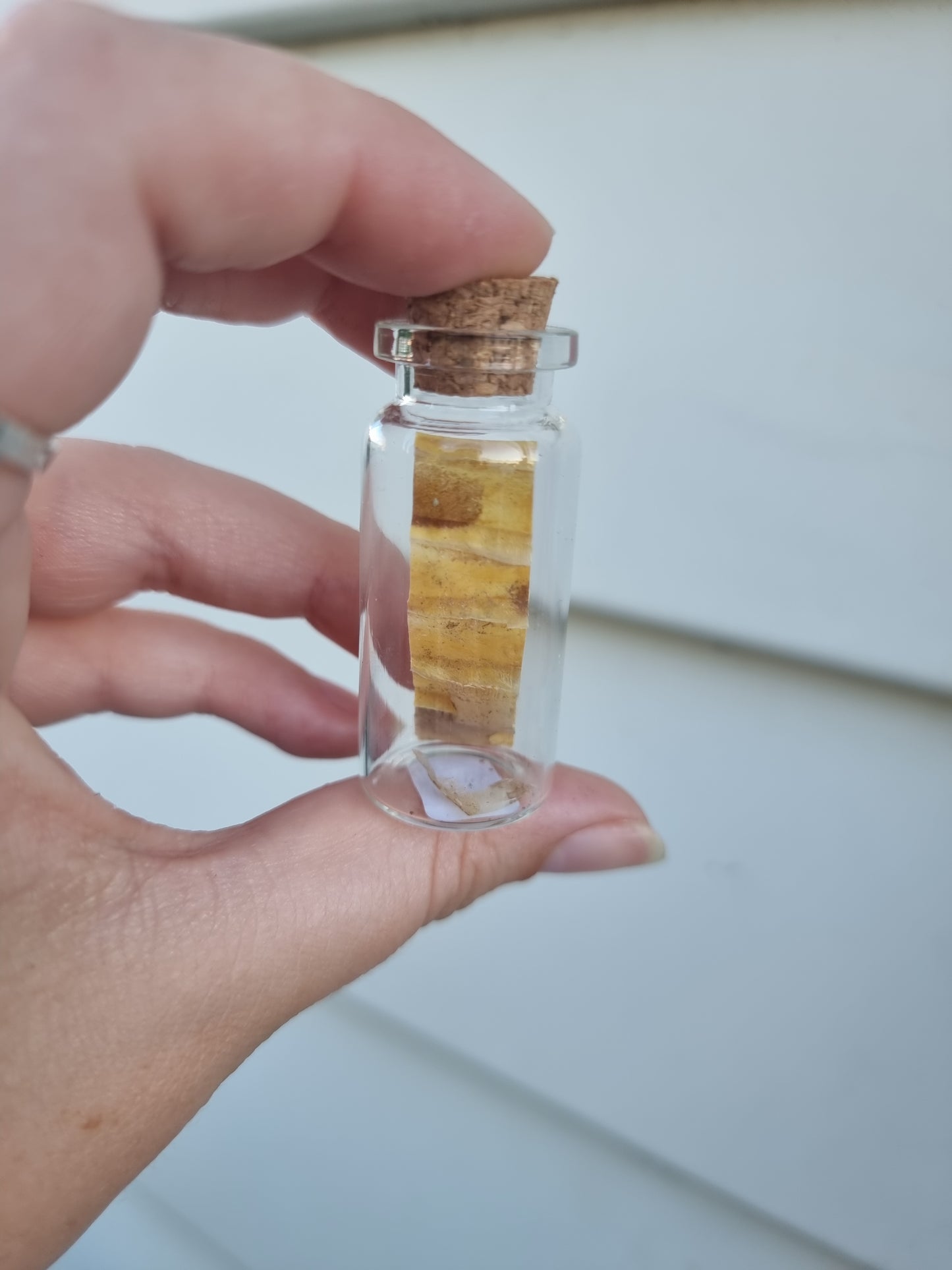 Medium Snake Skin Jar