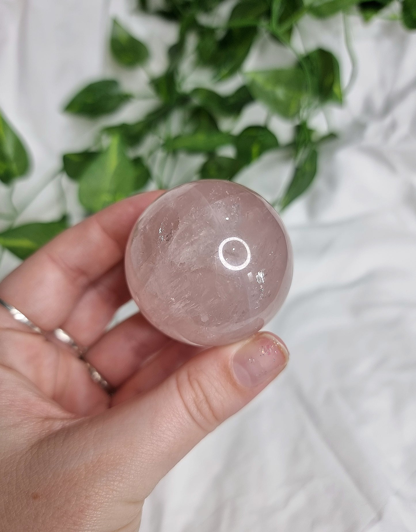 Star Rose Quartz Sphere #2