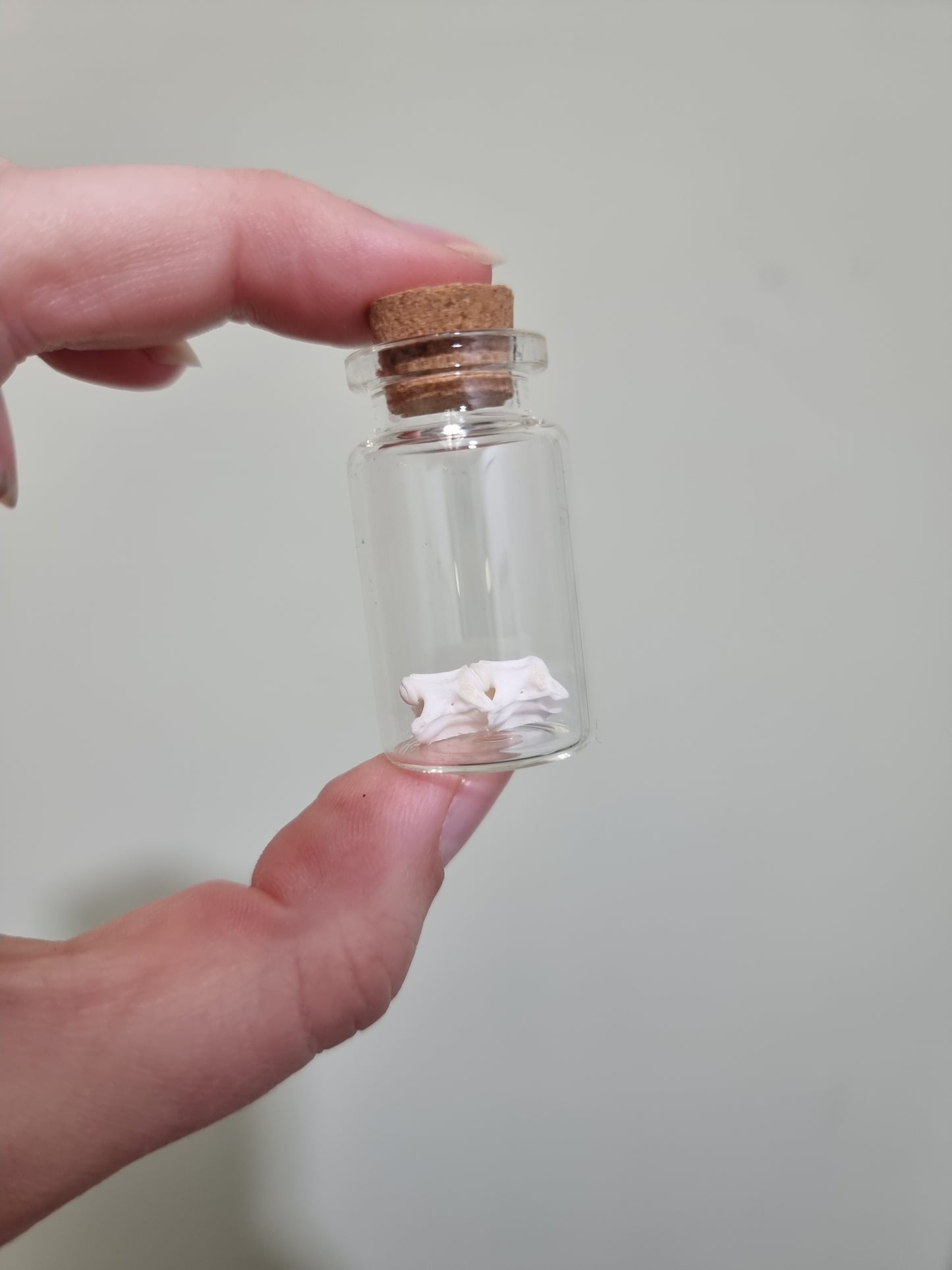 Rattle Snake Vert small Jar