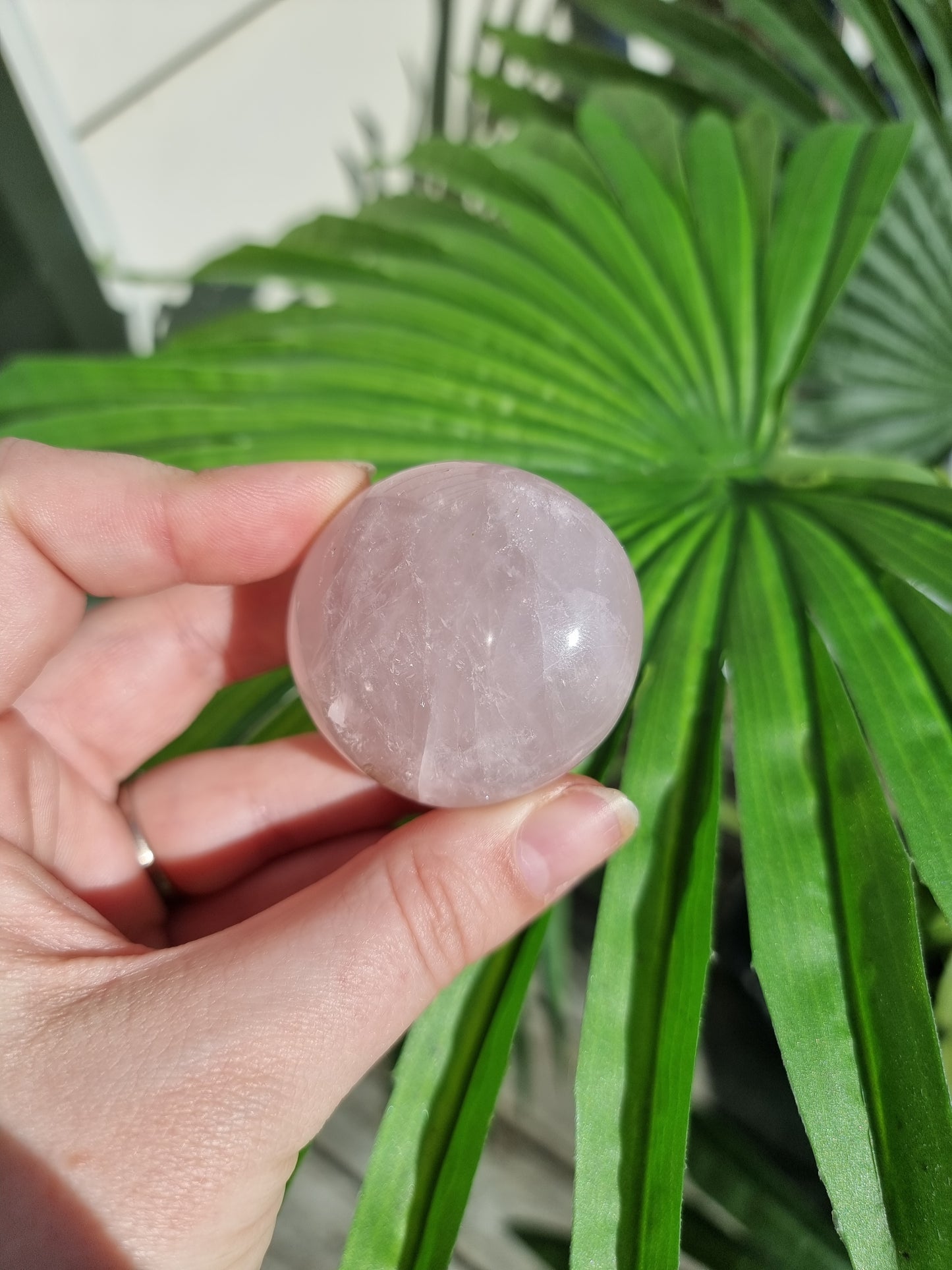 Star Rose Quartz Rainbow Palmstone