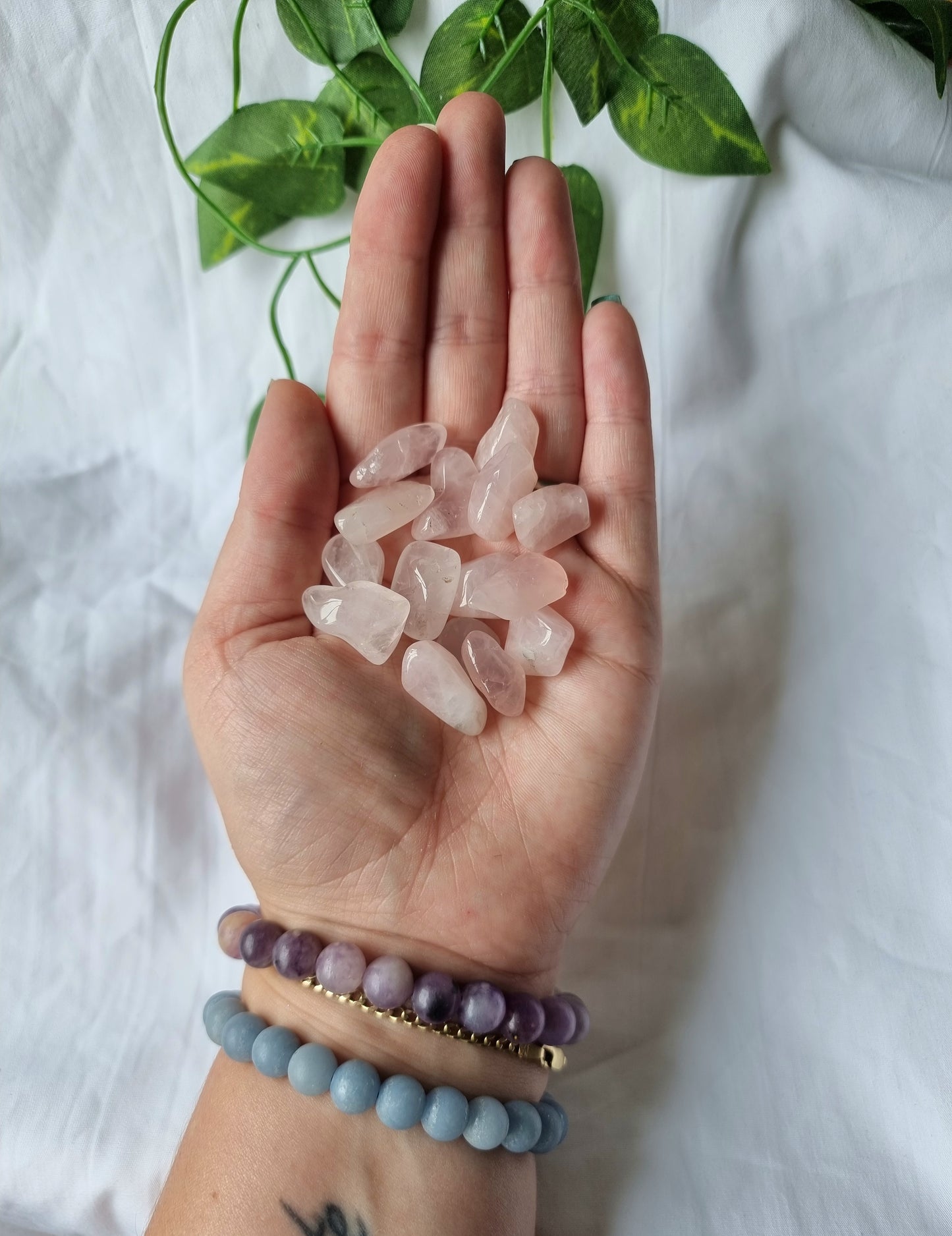 Small Rose Quartz Tumbles