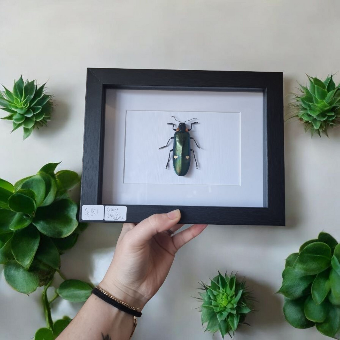 Framed Beetle #89