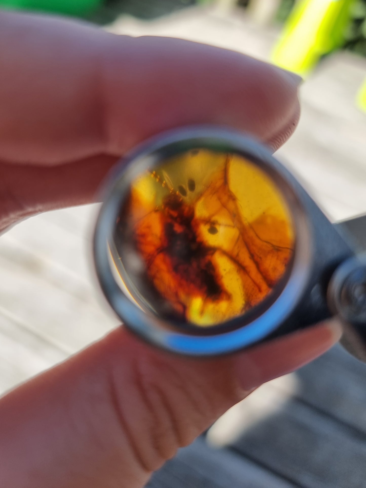 Bug in Amber #12