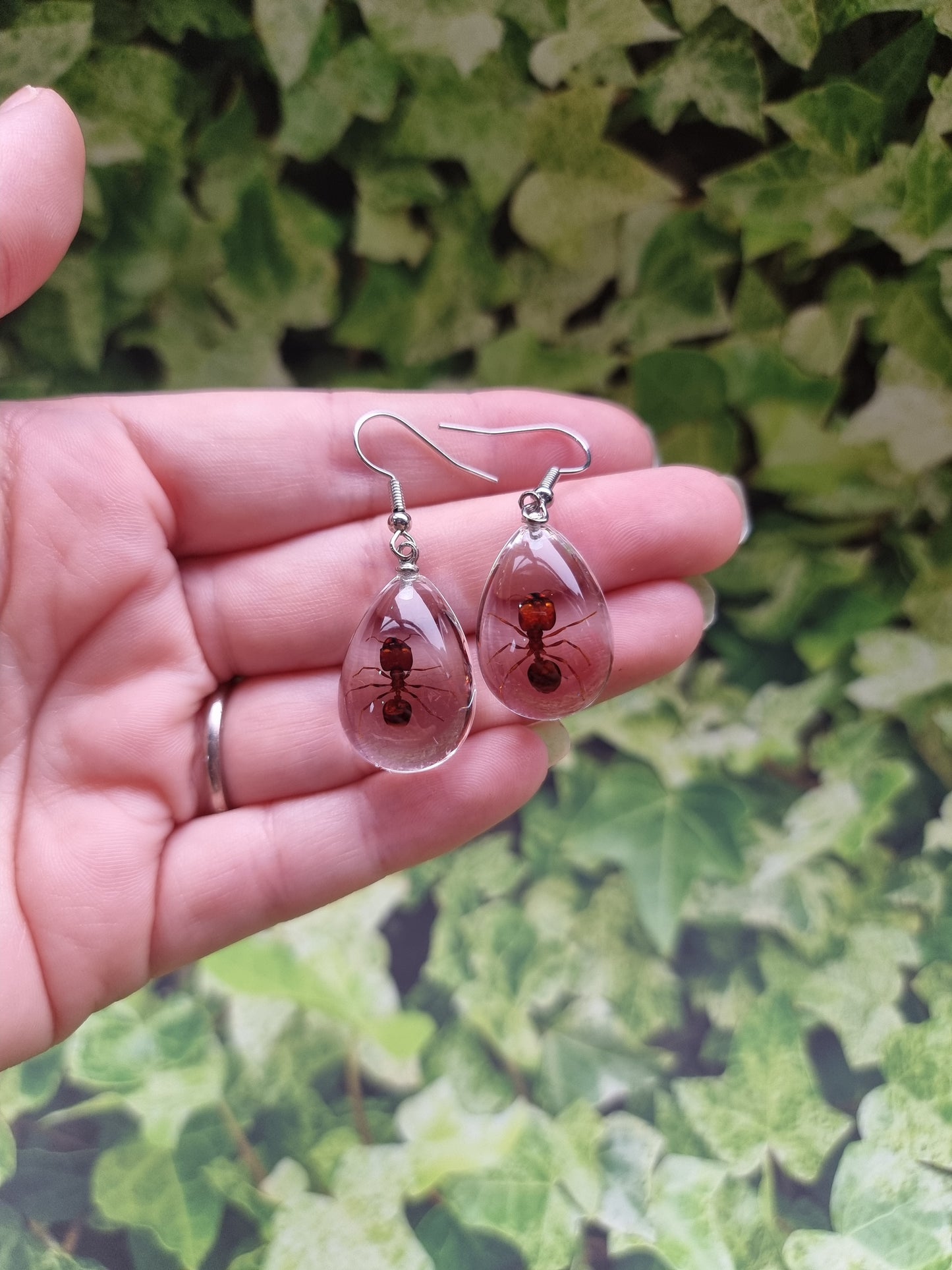 Ant Resin Earings