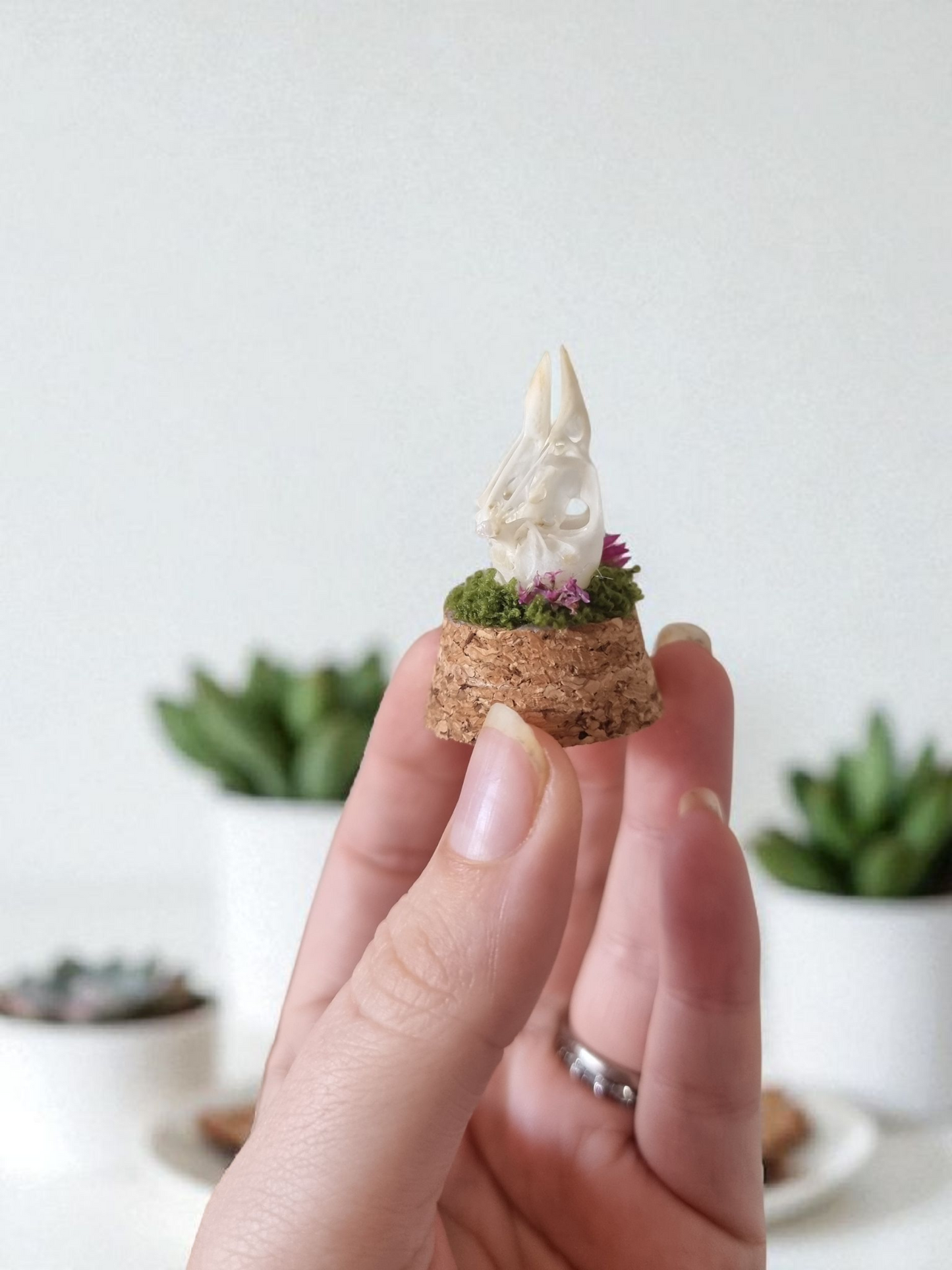 Bird Skull dome #2