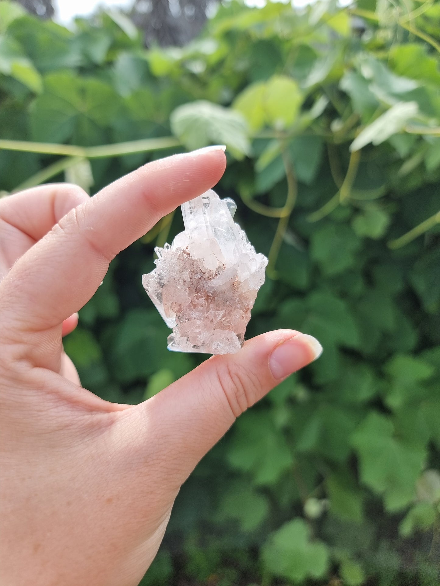 Sacred Rose Lithium Quartz #2