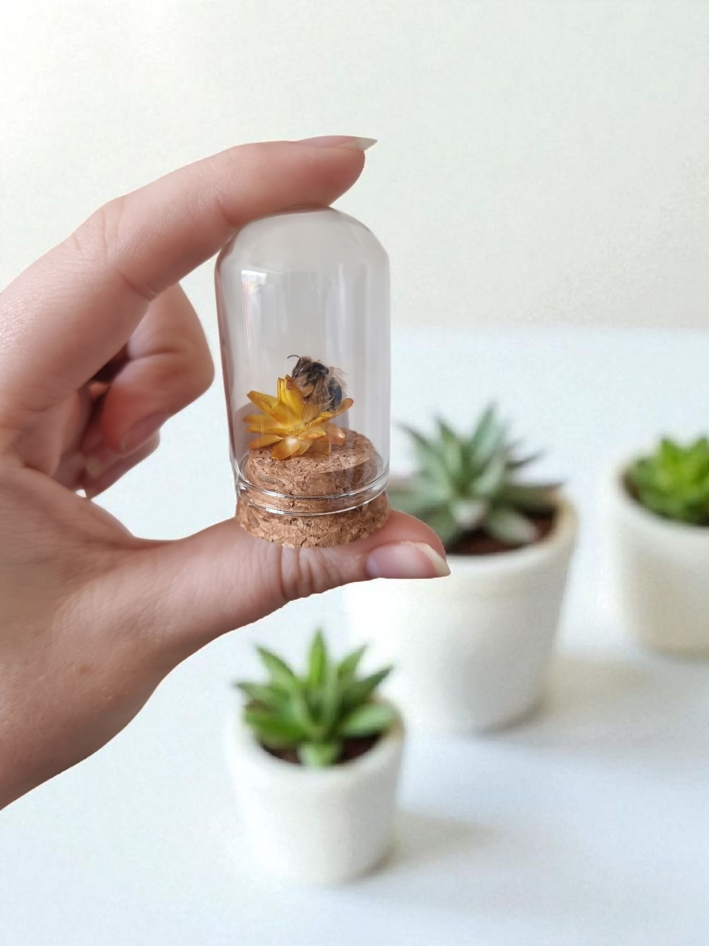 Mini Bee Dome #3