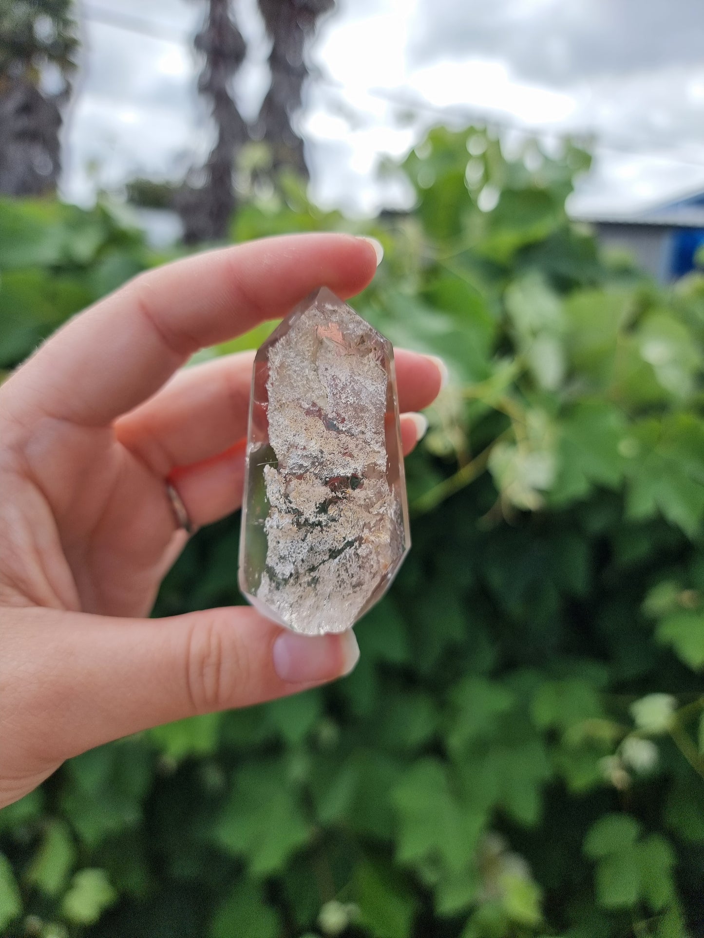 Garden Quartz/Lodolite With Rutiles Point #1