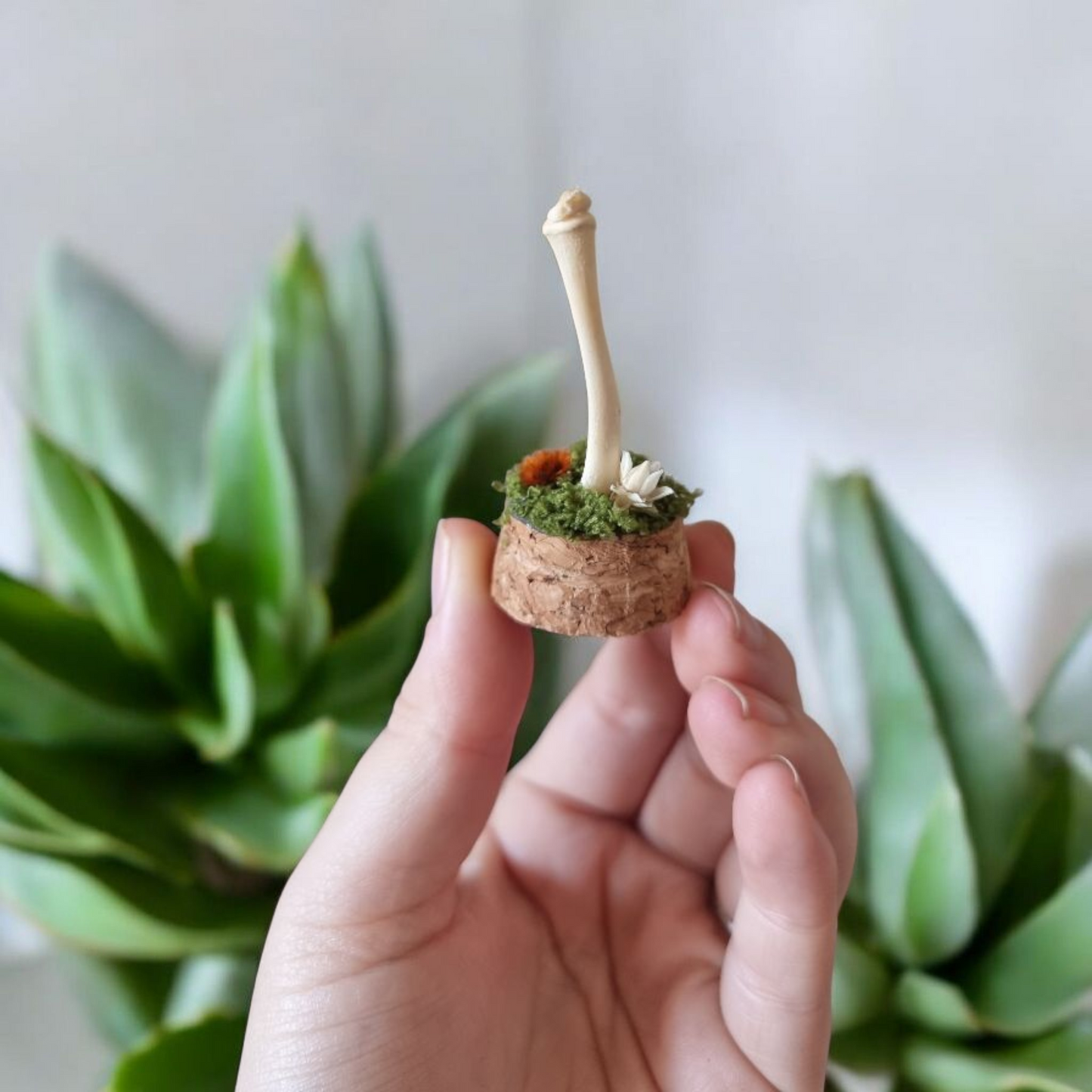 Small Bone Dome #1