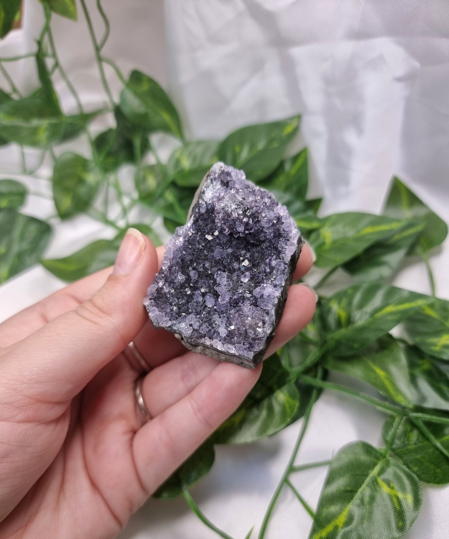 Amethyst Cluster
