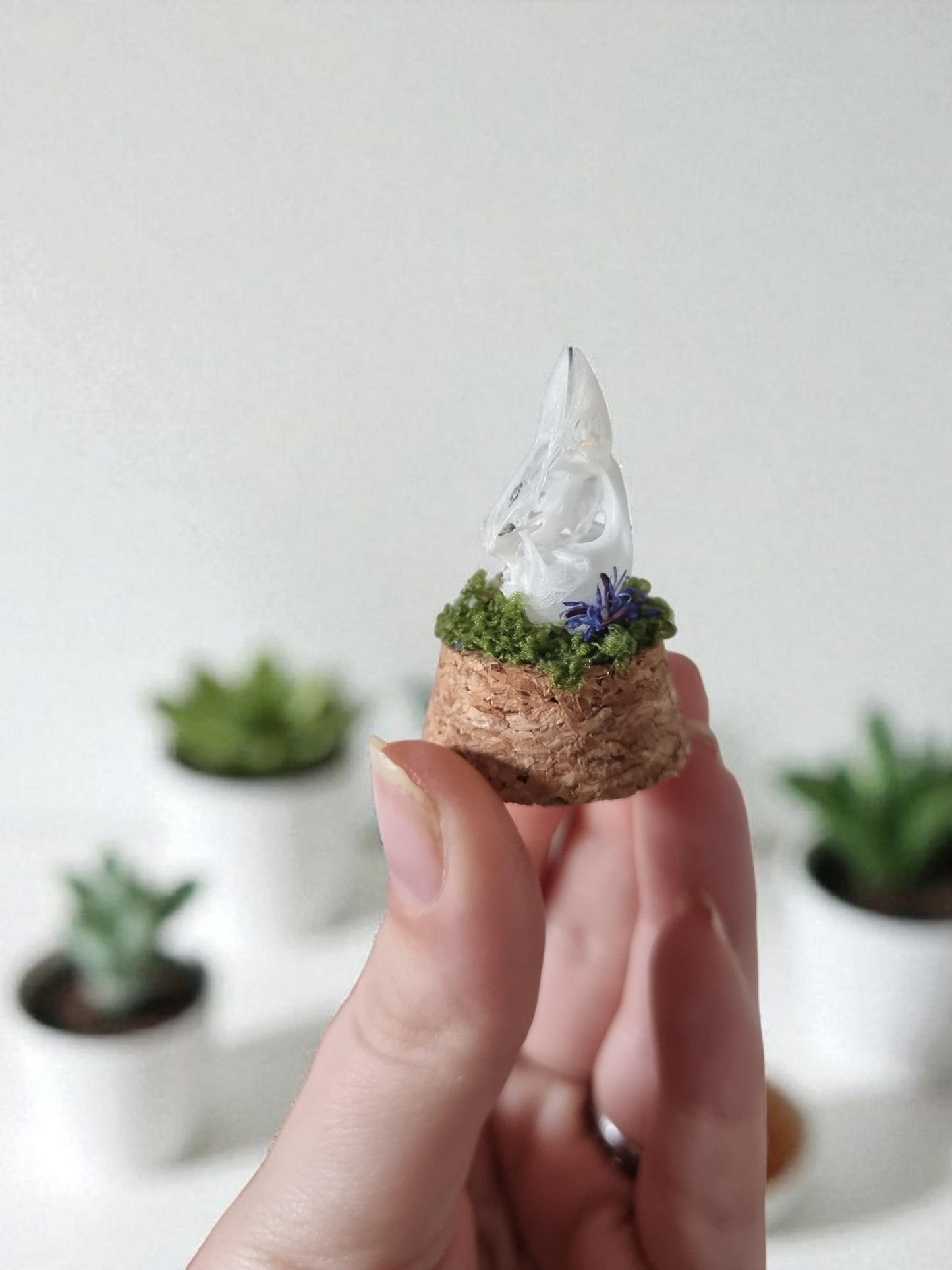 Bird Skull dome #4